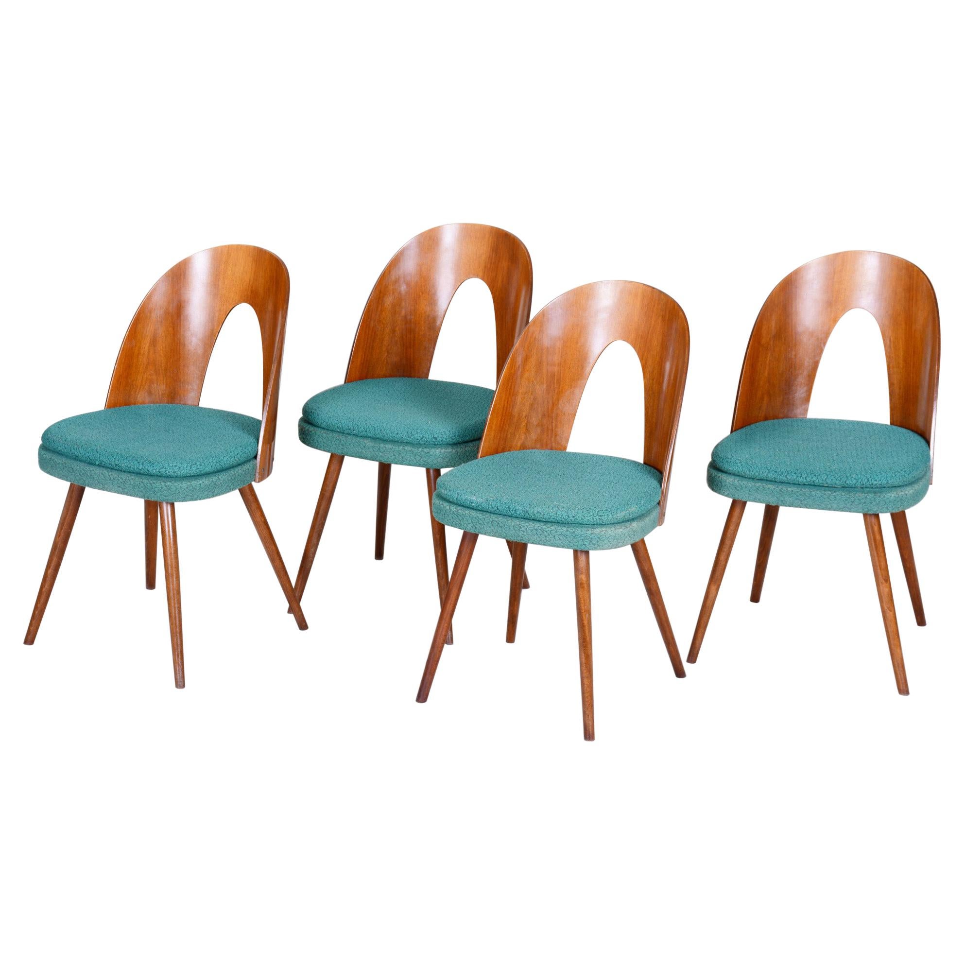 Well Preserved Czech Blue and Brown Ash Chairs by Antonín Šuman, 4 Pcs, 1950s