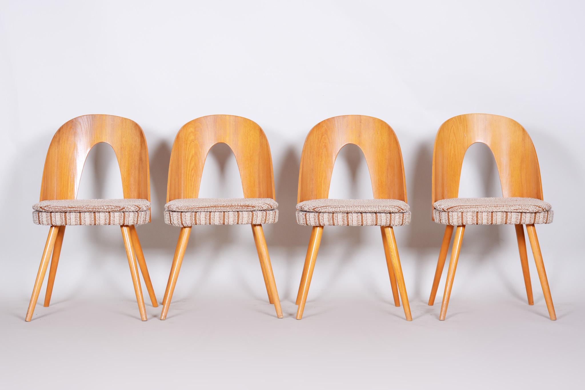 Mid-Century Modern Well Preserved Czech Brown and Beige Ash Chairs by Antonín Šuman, 4 Pcs, 1950s