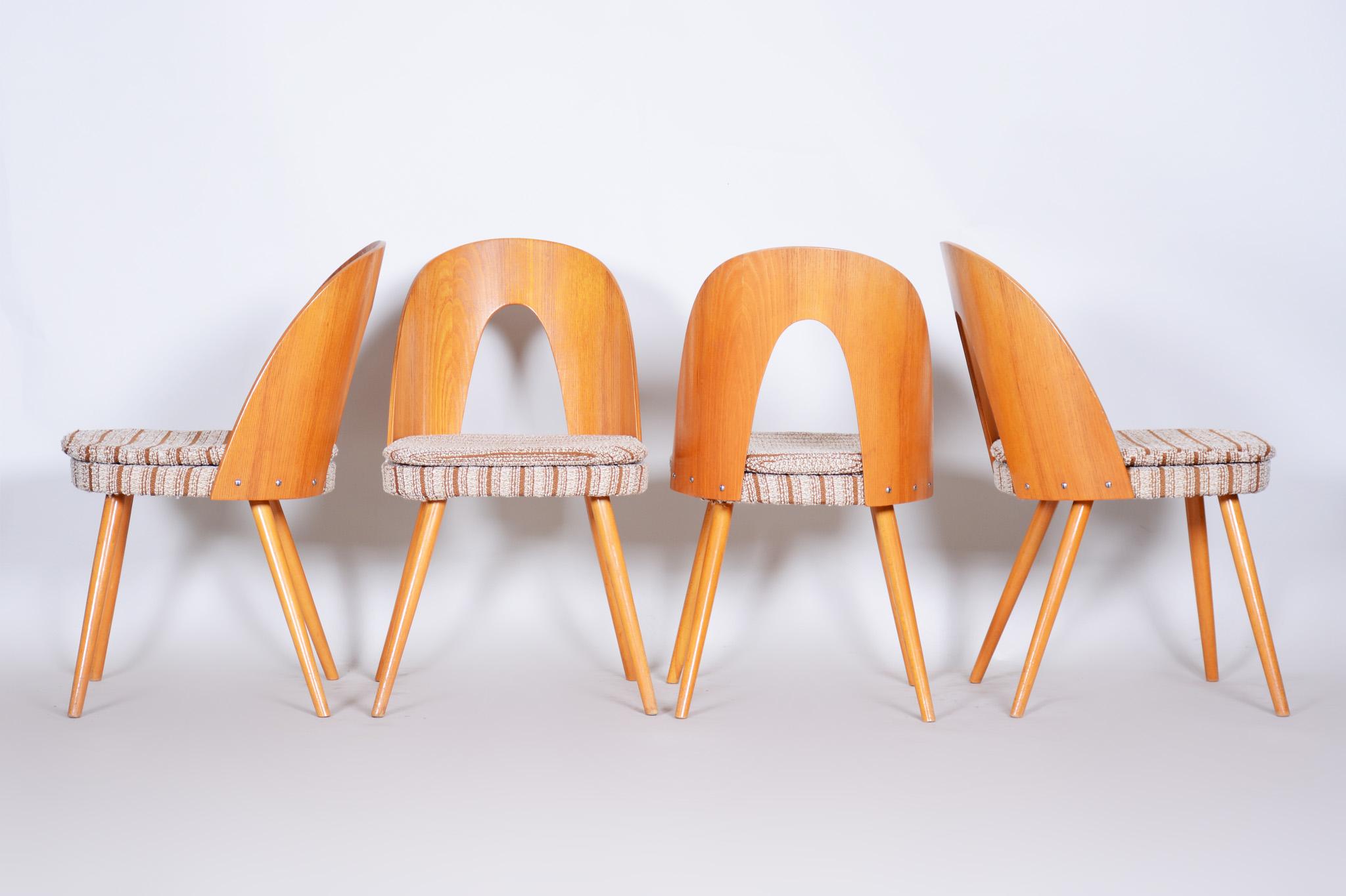 Well Preserved Czech Brown and Beige Ash Chairs by Antonín Šuman, 4 Pcs, 1950s 1
