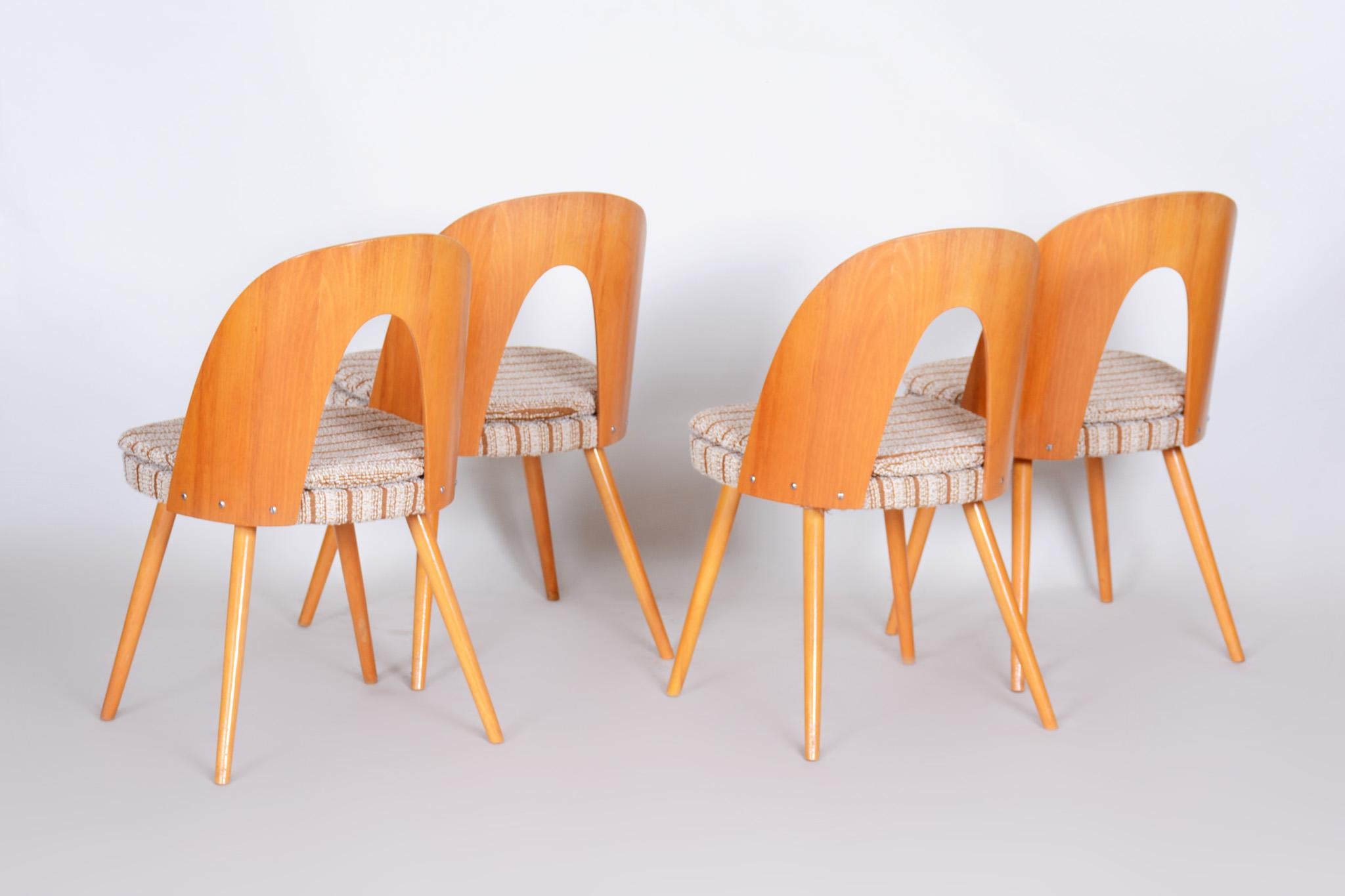 Well Preserved Czech Brown and Beige Ash Chairs by Antonín Šuman, 4 Pcs, 1950s 3