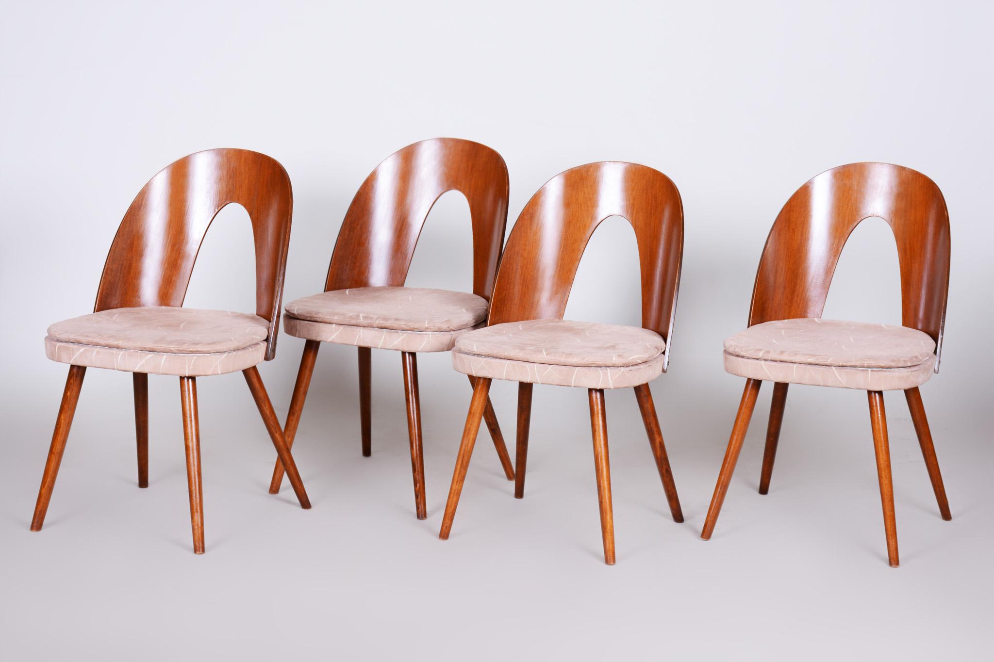 Czech midcentury chairs, 4 pieces.
Material: Walnut
Period: 1950-1959
Original preserved condition
Made by architect Antonín Šuman.