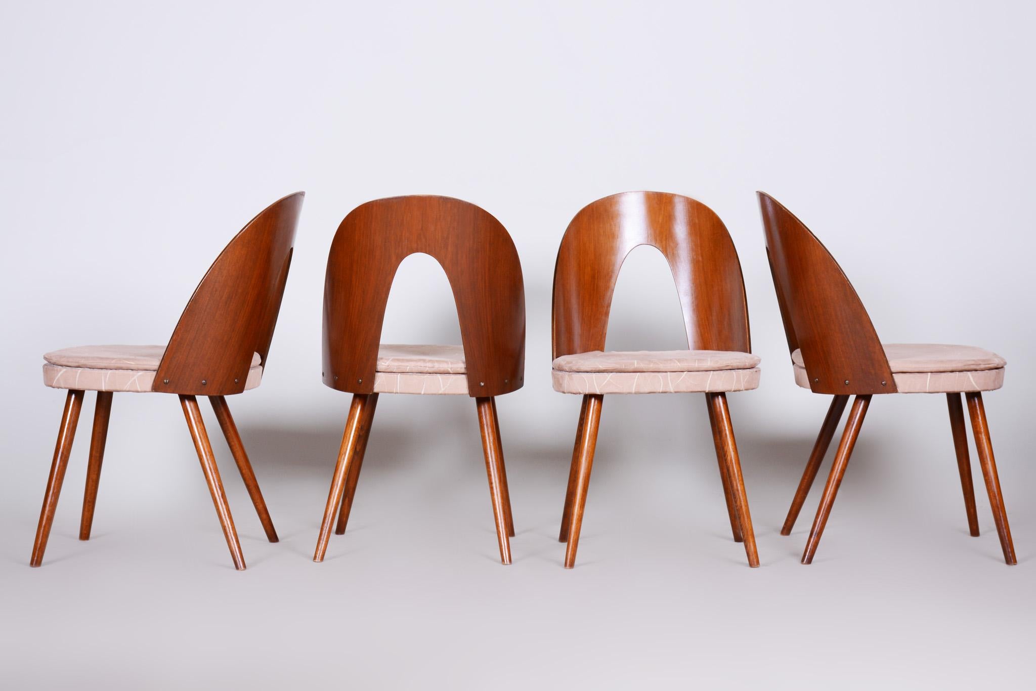 Mid-Century Modern Well Preserved Czech Brown and Beige Chairs by Antonín Šuman, 4 Pcs, 1950s For Sale