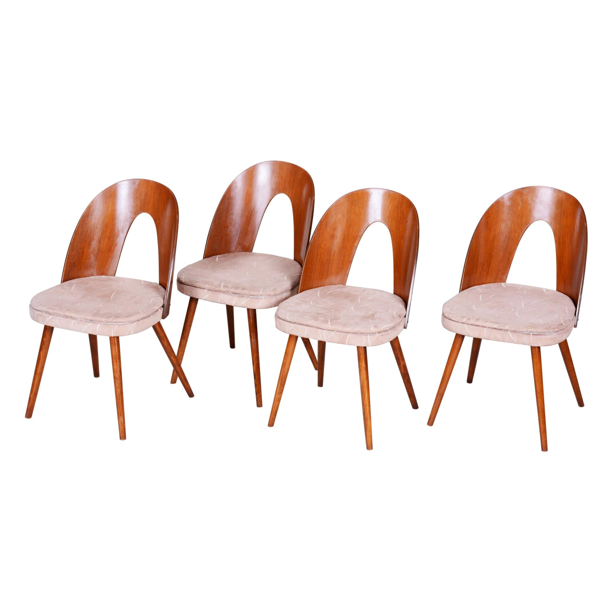 Well Preserved Czech Brown and Beige Chairs by Antonín Šuman, 4 Pcs, 1950s For Sale