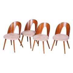 Chaises tchèques marron et beige bien conservées par Antonn uman, 4 pièces, années 1950