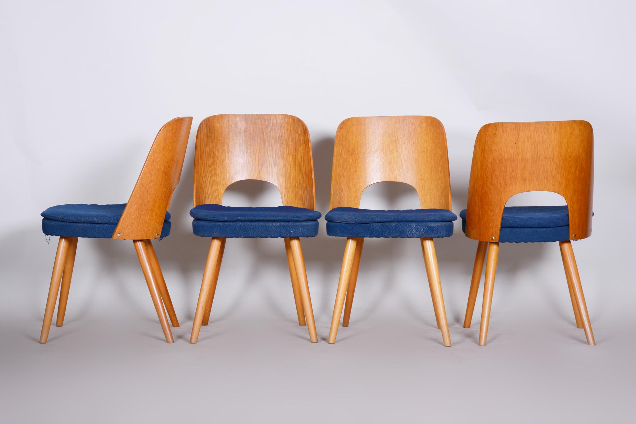 20th Century Well preserved Czech Brown and Blue Ash Chairs by Oswald Haerdtl, 4 Pcs, 1950s