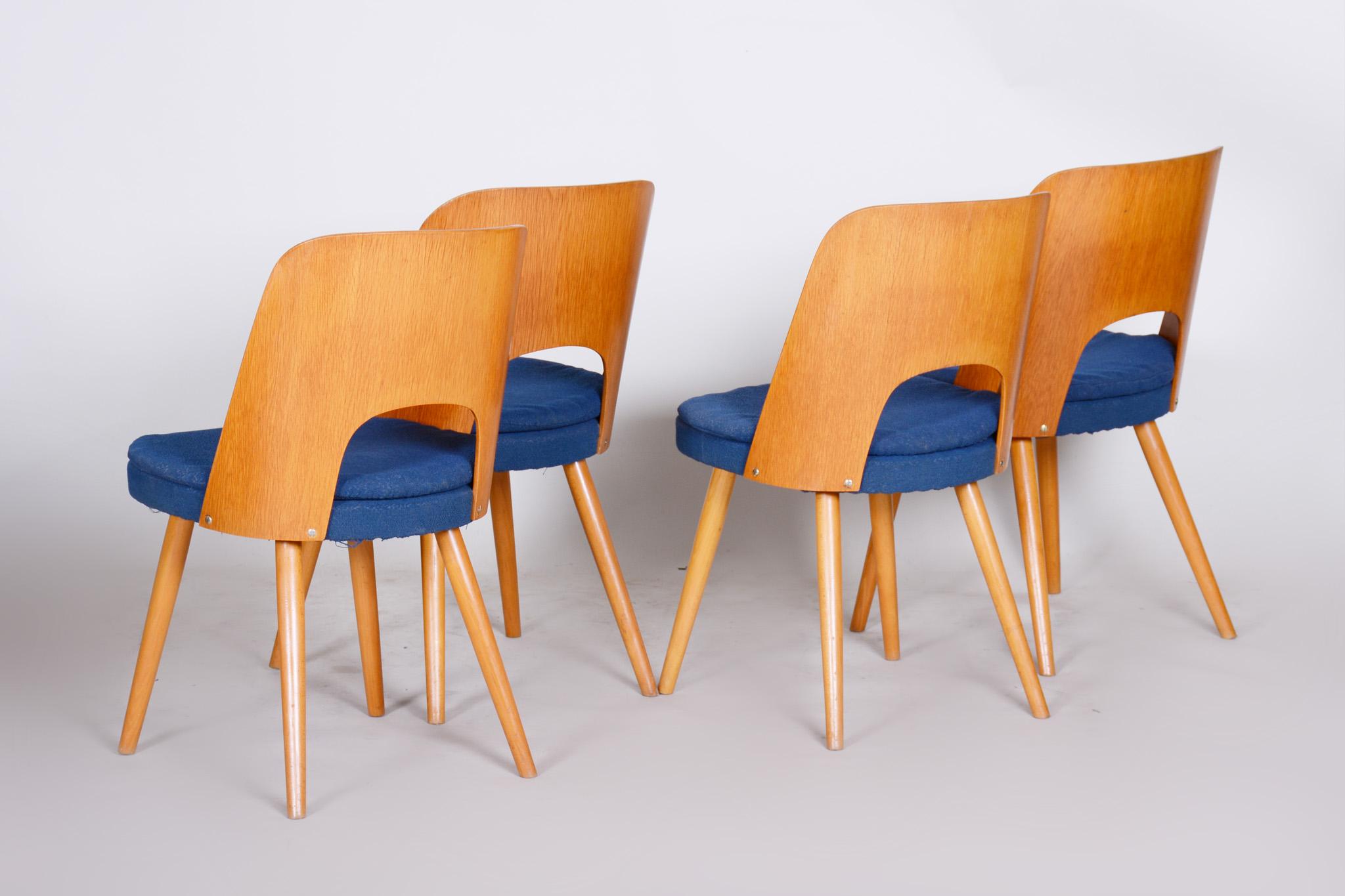 Well preserved Czech Brown and Blue Ash Chairs by Oswald Haerdtl, 4 Pcs, 1950s 1