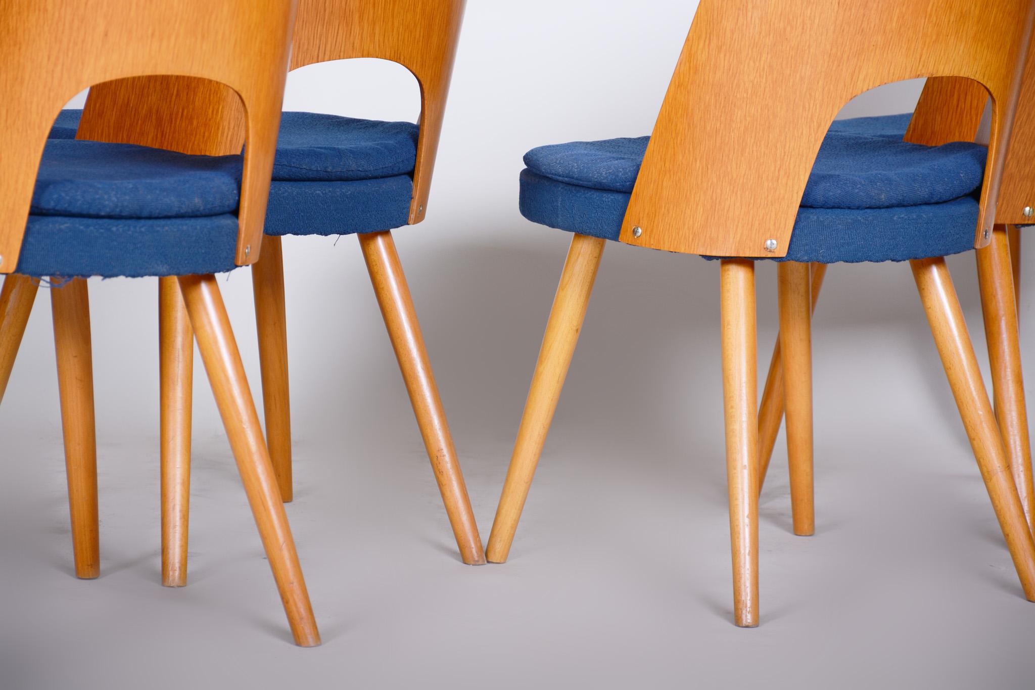 Well preserved Czech Brown and Blue Ash Chairs by Oswald Haerdtl, 4 Pcs, 1950s 2