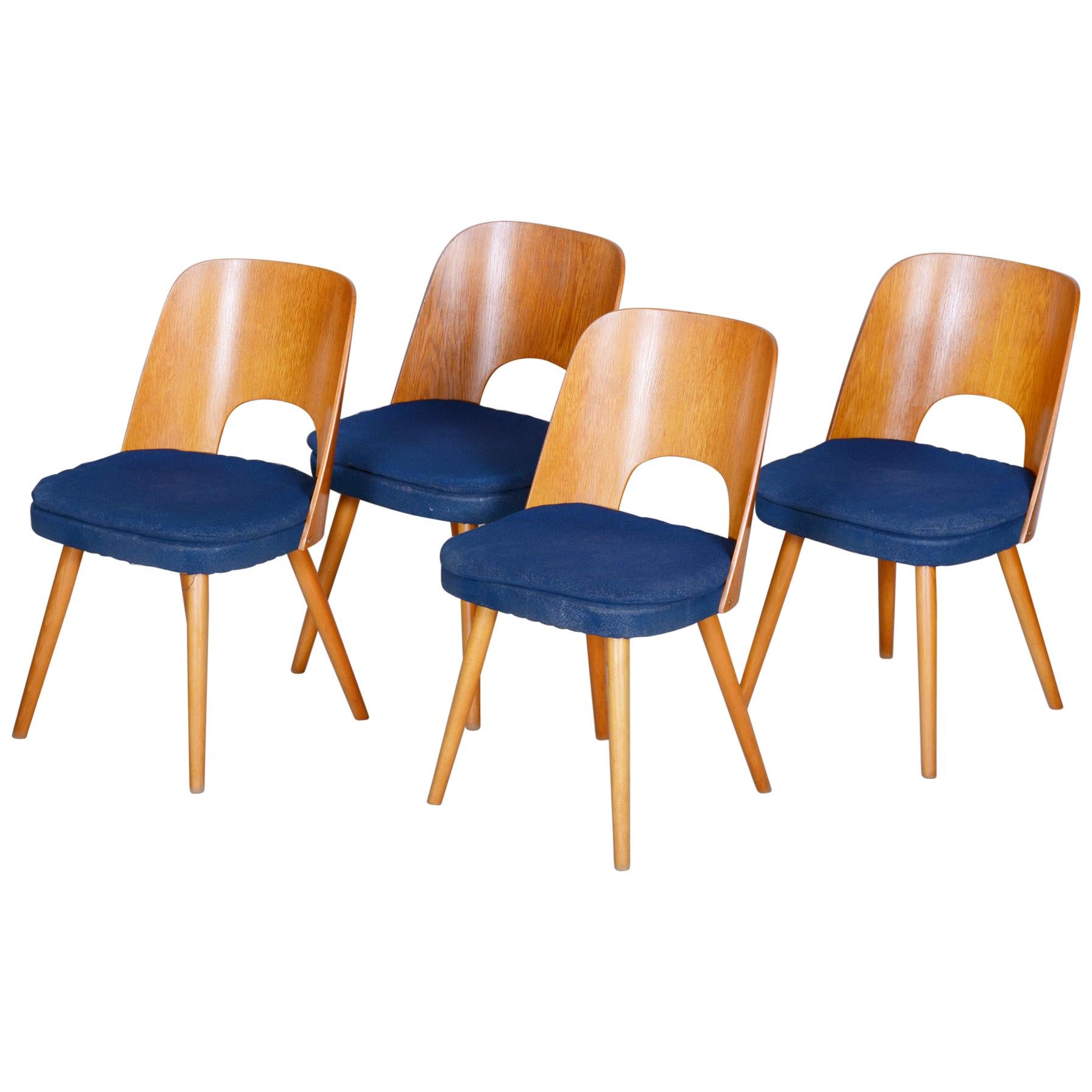Well preserved Czech Brown and Blue Ash Chairs by Oswald Haerdtl, 4 Pcs, 1950s