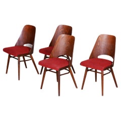 Well Preserved Czech Brown and Red Beech Chairs by Oswald Haerdtl, 4 Pcs, 1950s