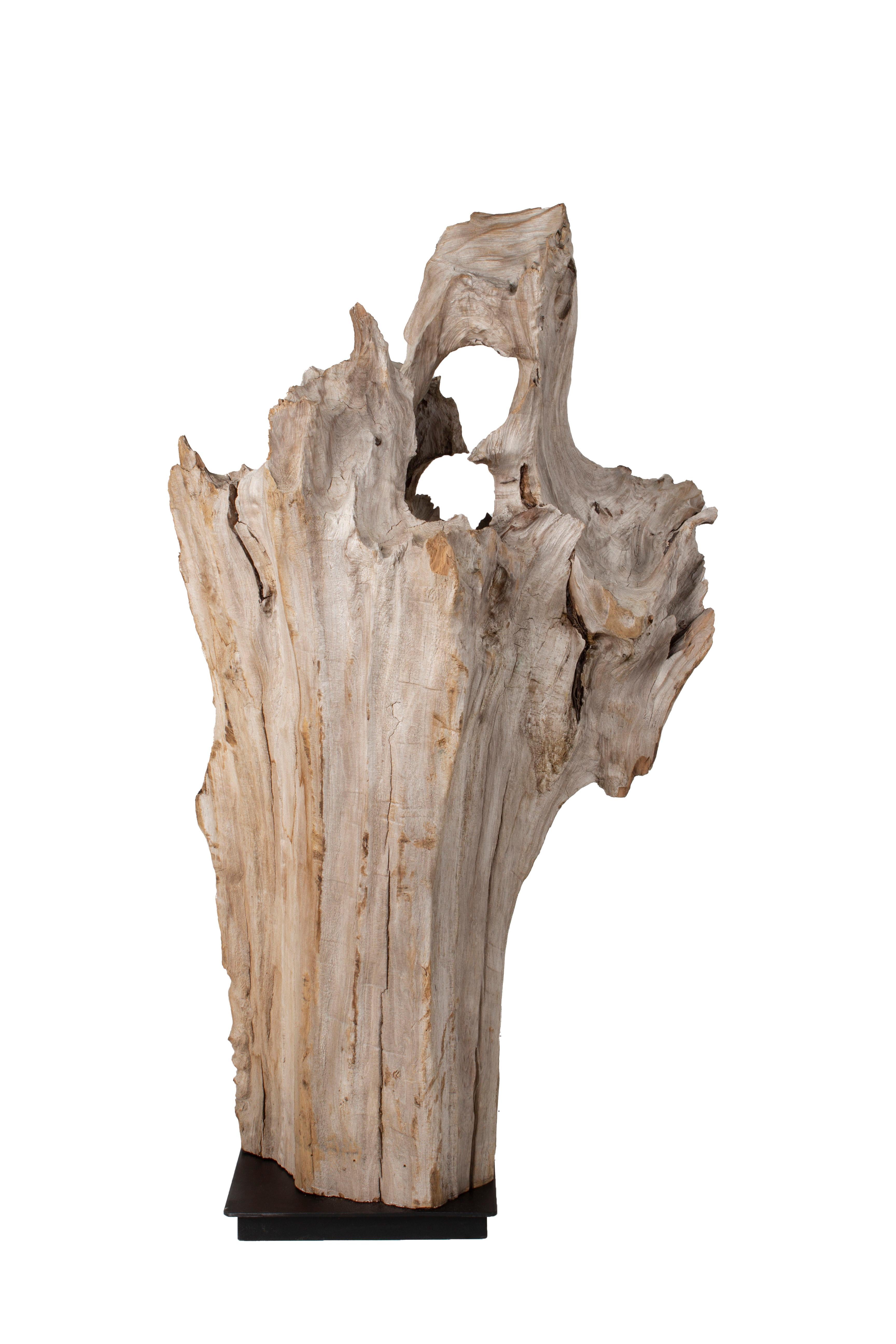 Organic Modern Wells Cypress Wood Structure For Sale