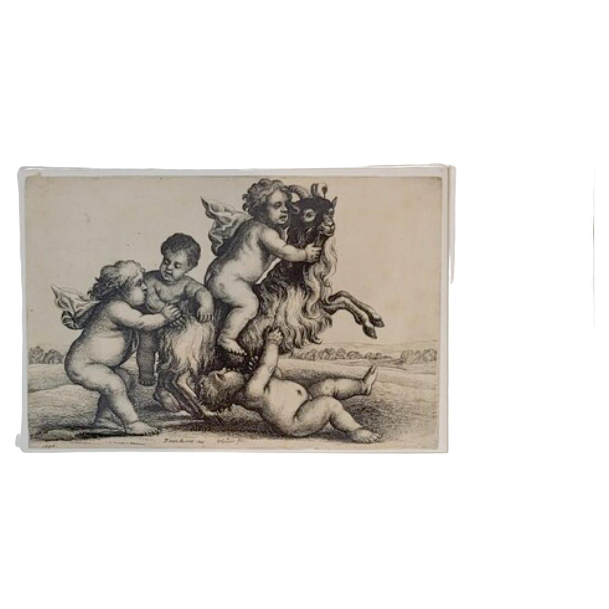 Wenceslaus Hollar lifetime etching on laid paper of "Putti with Goat" 1607-1677 For Sale
