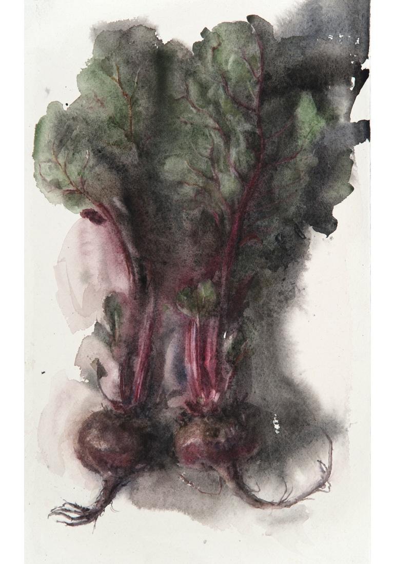 "Beets" Watercolor painting of dark purple beets on white background - Painting by Wendy Artin