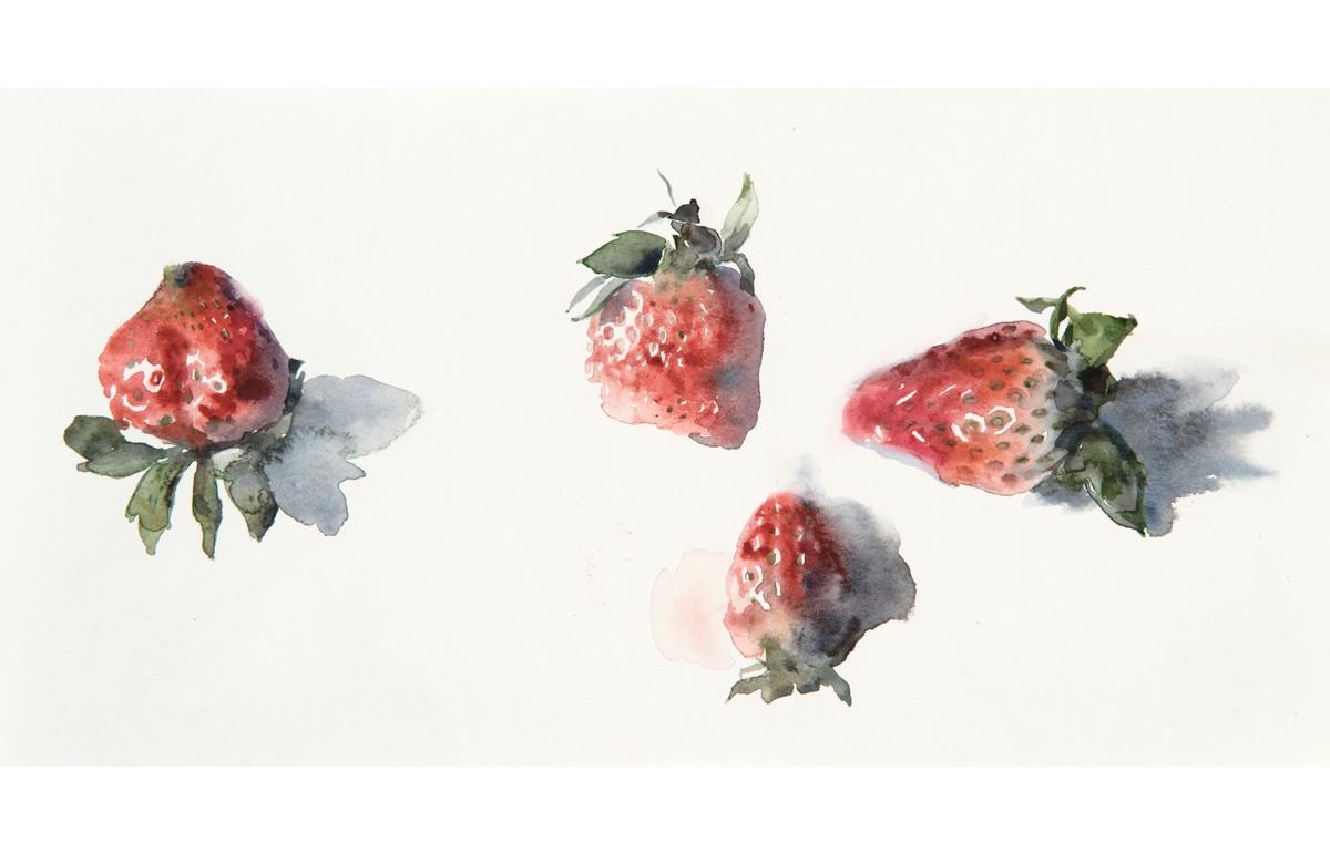 Still-Life Painting Wendy Artin - « Quatre fraises », peinture à l'aquarelle de quatre fraises sur fond blanc