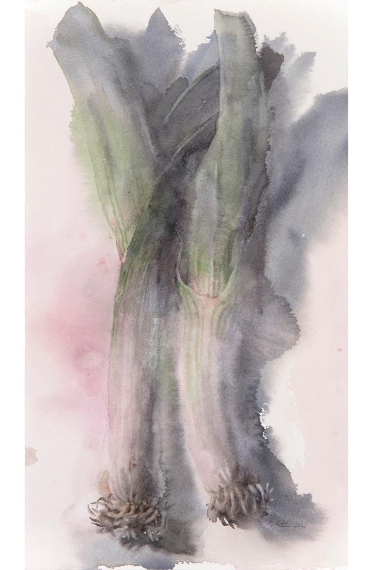 Wendy Artin Still-Life Painting - "Leeks" watercolor painting of leeks on white background