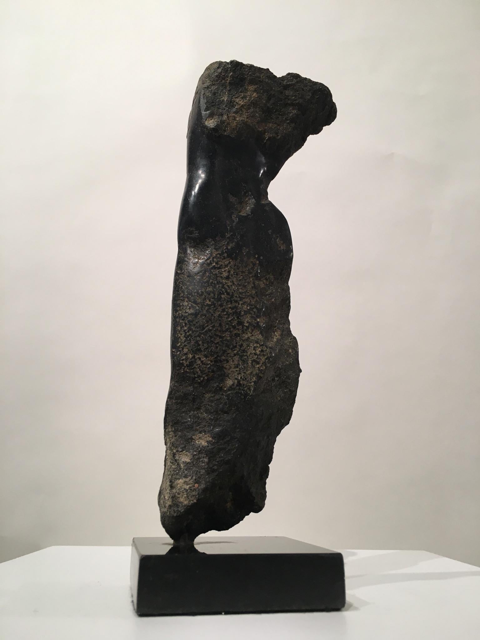 XXIe siècle et contemporain Wendy Hendelman Sculpture de torse en bronze moulé:: 2013 en vente