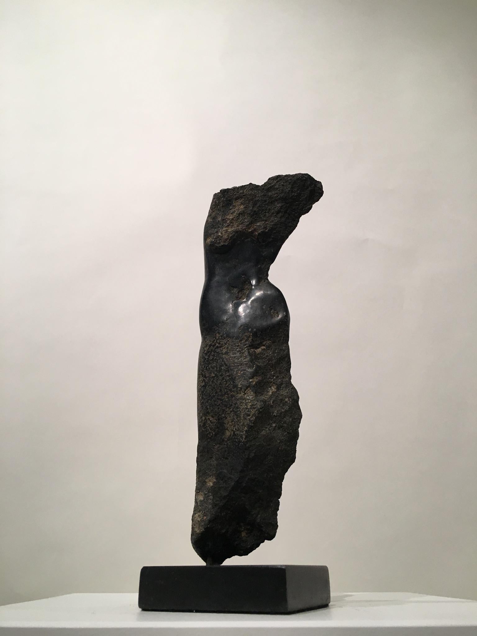 Marbre Wendy Hendelman Sculpture de torse en bronze moulé:: 2013 en vente