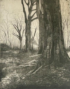 Trees Study Etching, Contemporary, AP 1/3, Mounted, 1980s