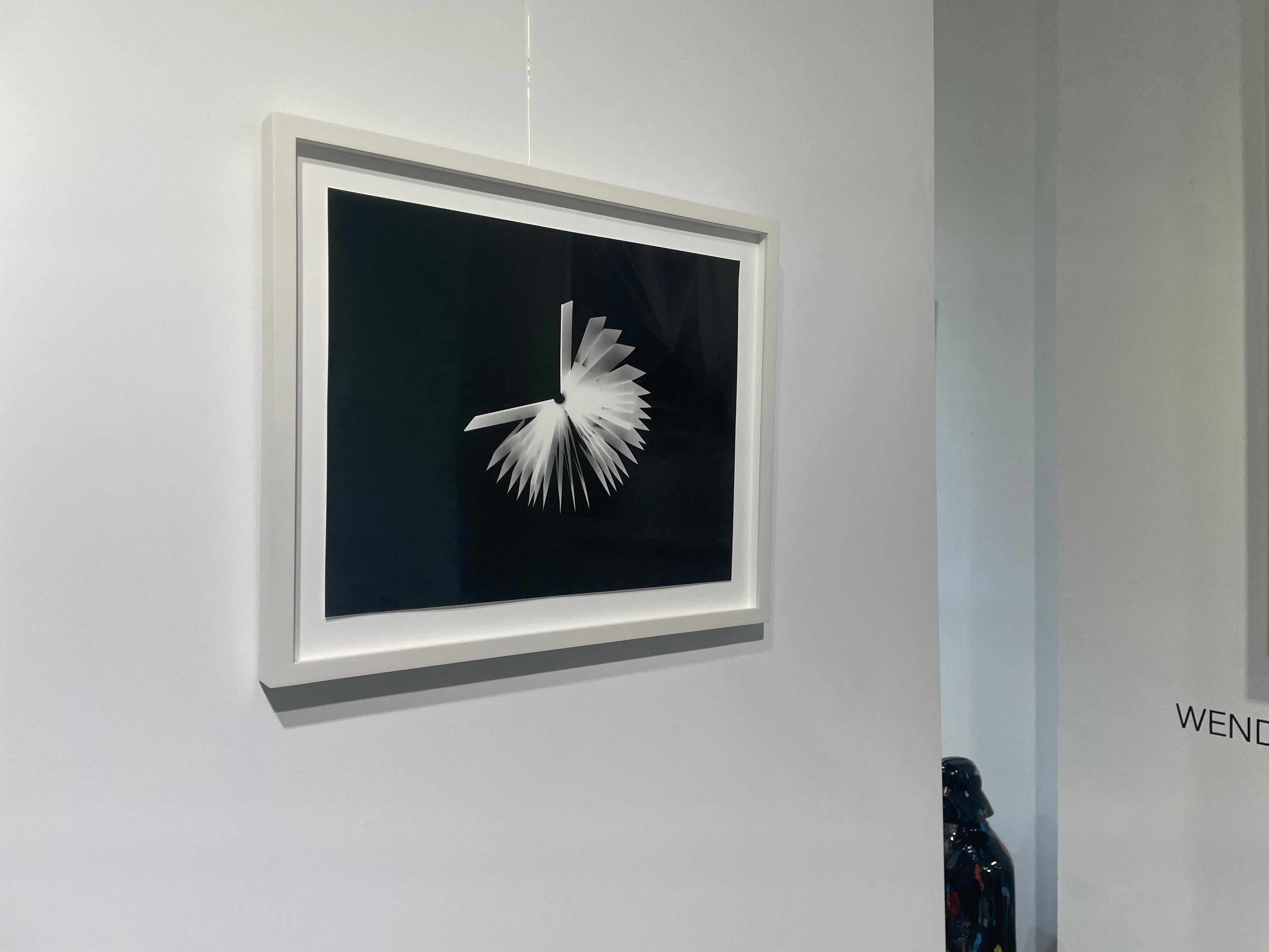 PHOTOGRAMS LITERARY UNITITLED 18 - Photograph by Wendy Paton