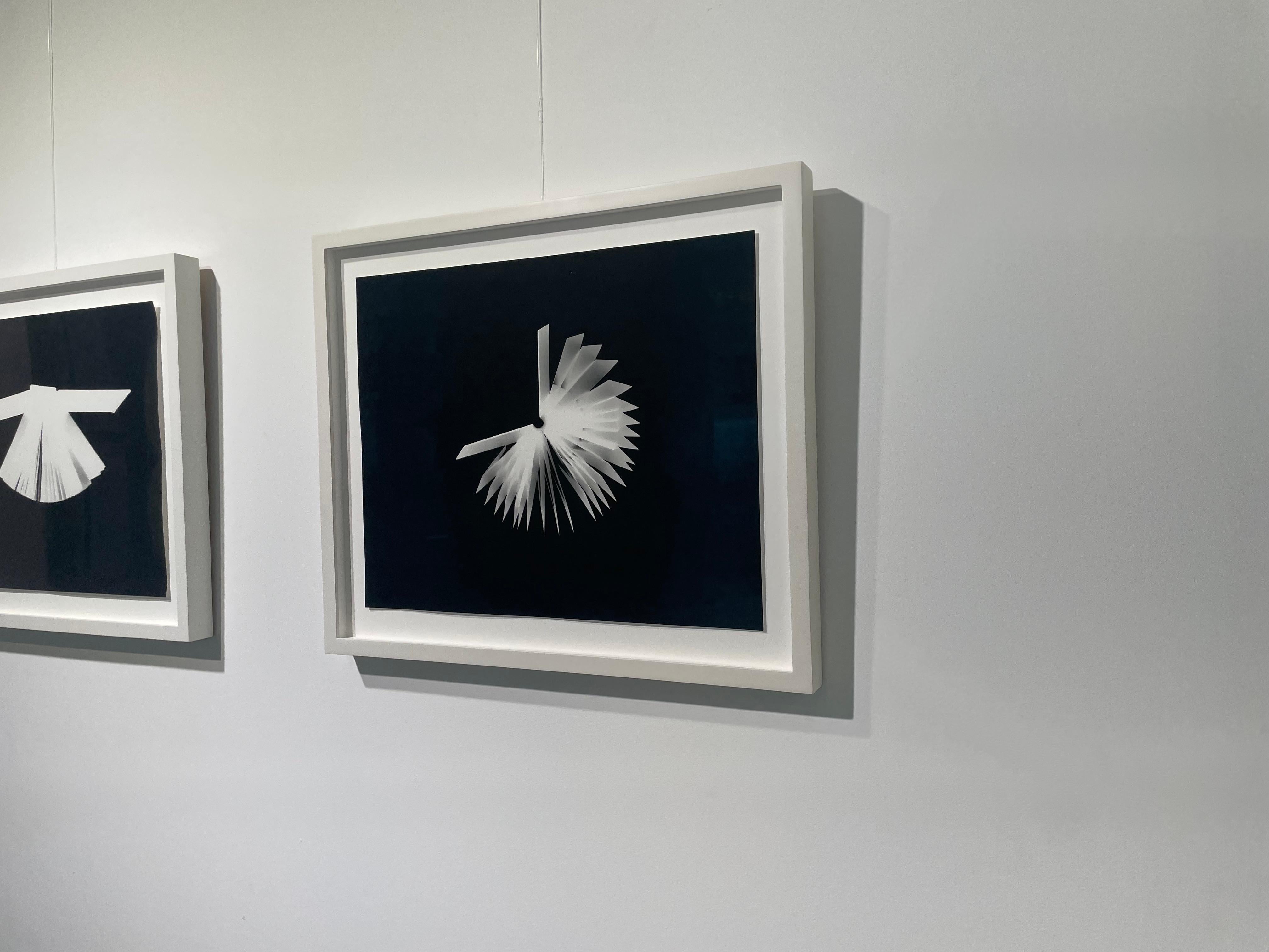 PHOTOGRAMS LITERARY UNITITLED 18 - Contemporary Photograph by Wendy Paton