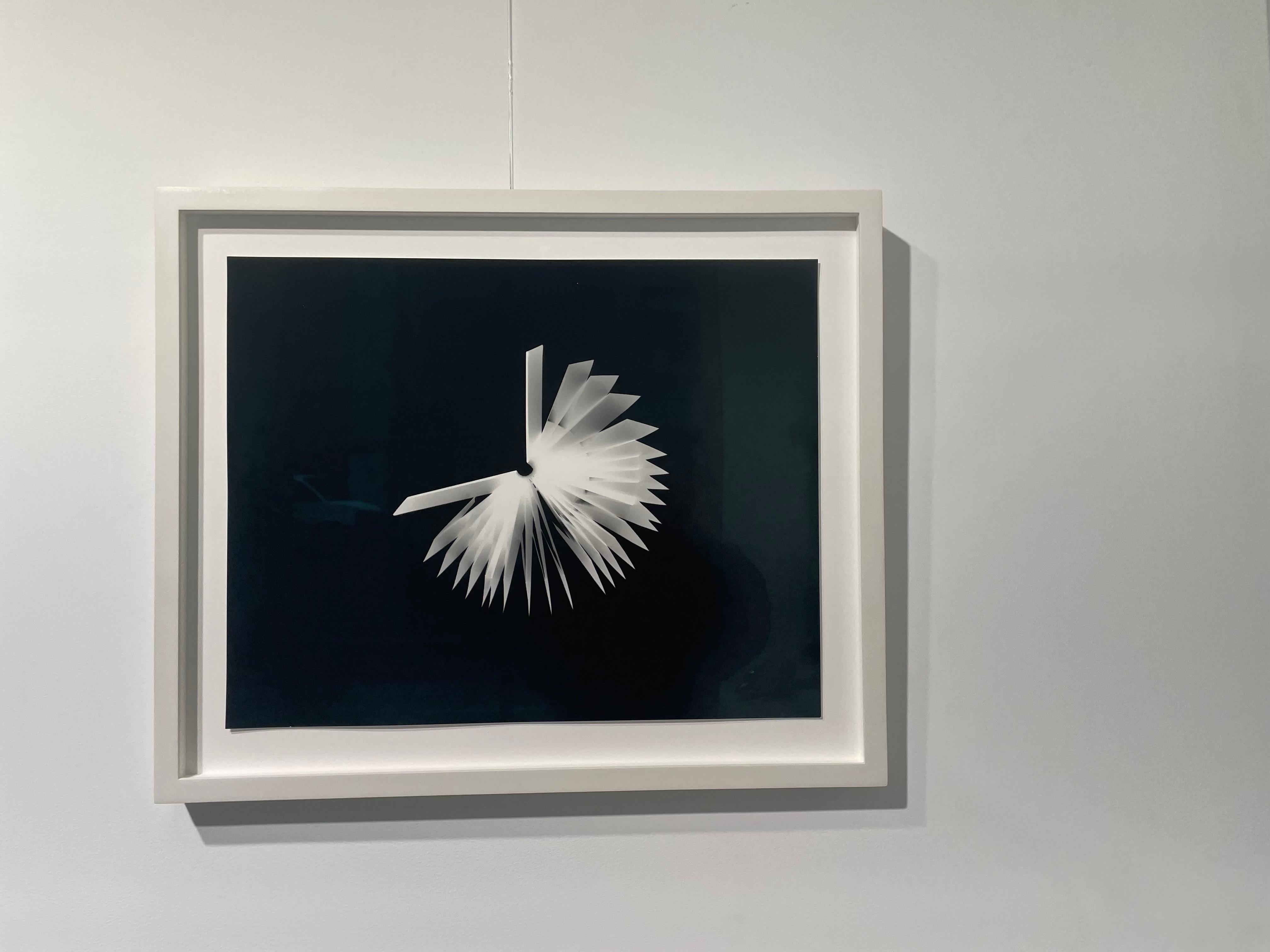 Wendy Paton Black and White Photograph - PHOTOGRAMS LITERARY UNITITLED 18