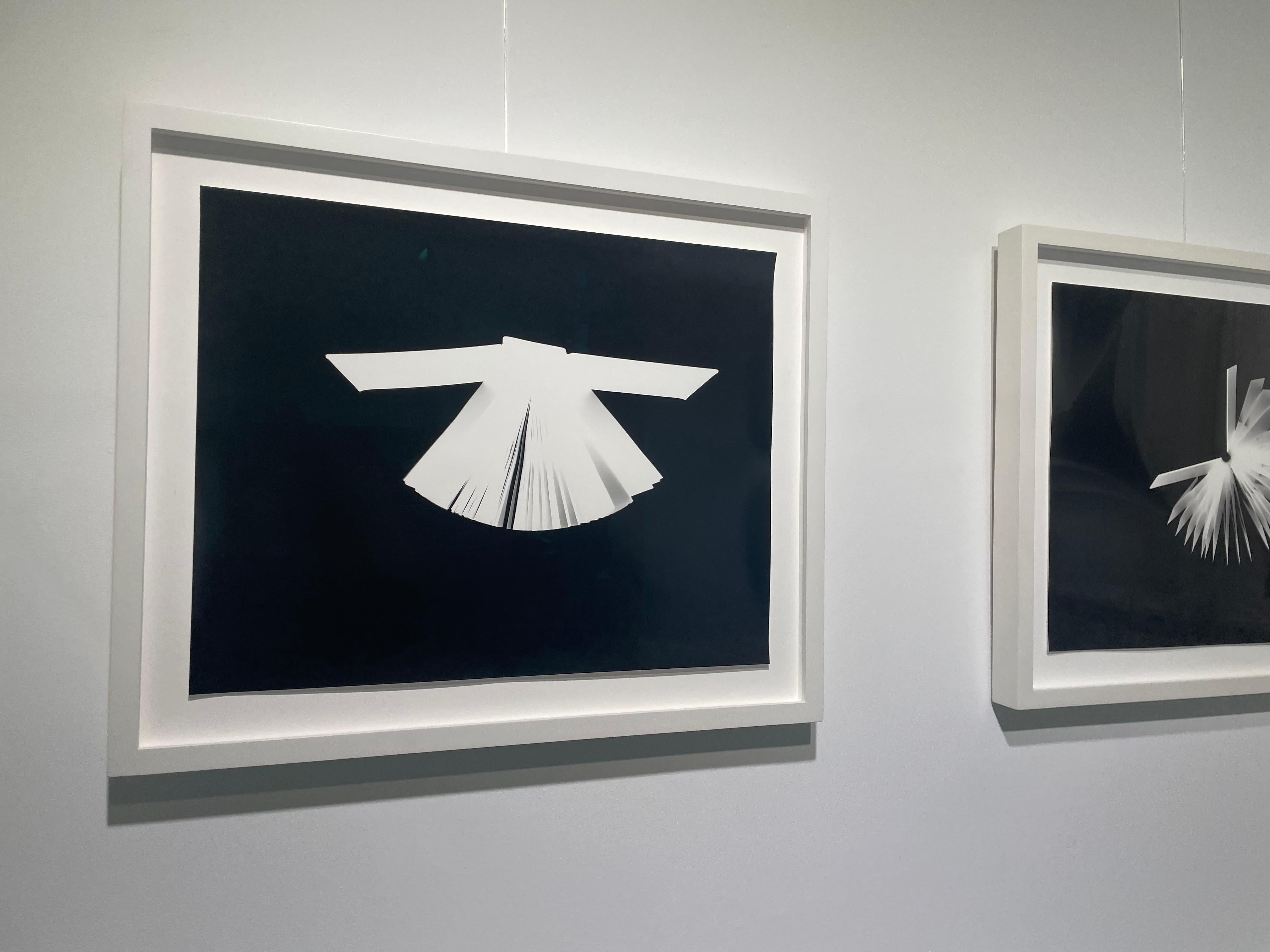 PHOTOGRAMS LITERARY UNITITLED 42 - Photograph by Wendy Paton