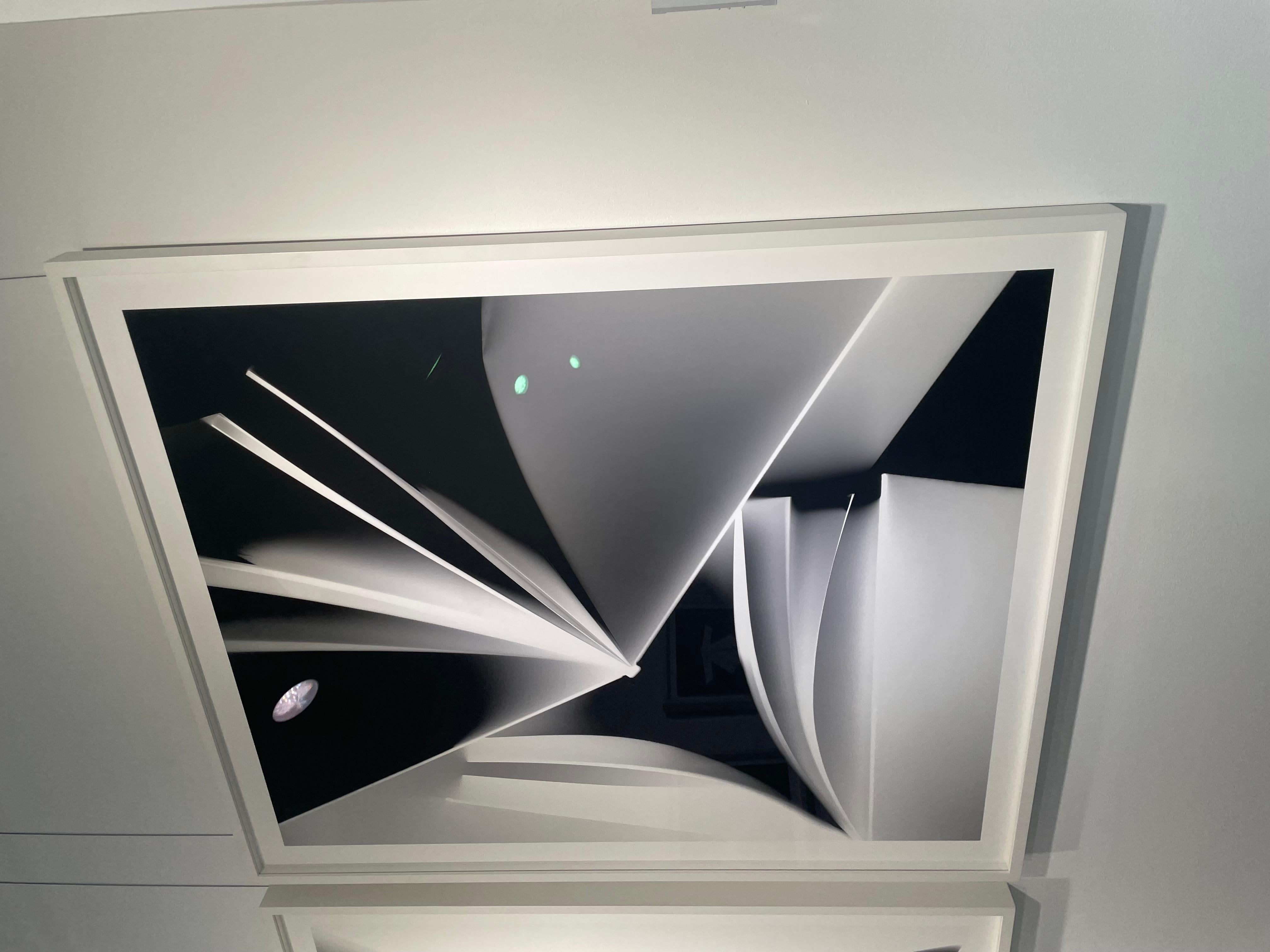 PHOTOGRAMS LITERARY UNITITLED 54 - Contemporary Photograph by Wendy Paton