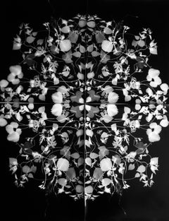 Remedio (Escuela de junio) Positivo (enmarcado)