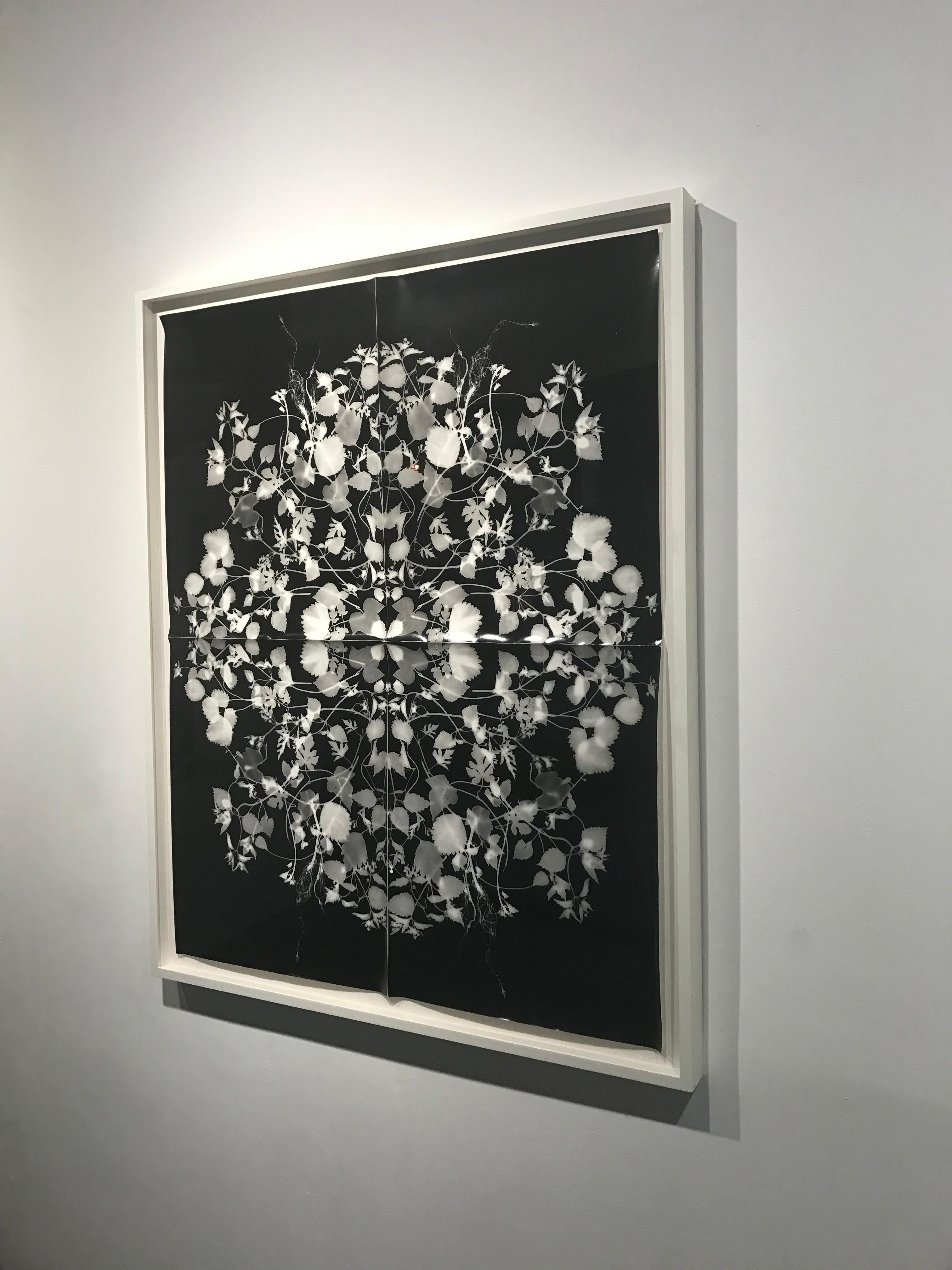 Remède  (École de juin) positif (encadré) - Abstrait Photograph par Wendy Small
