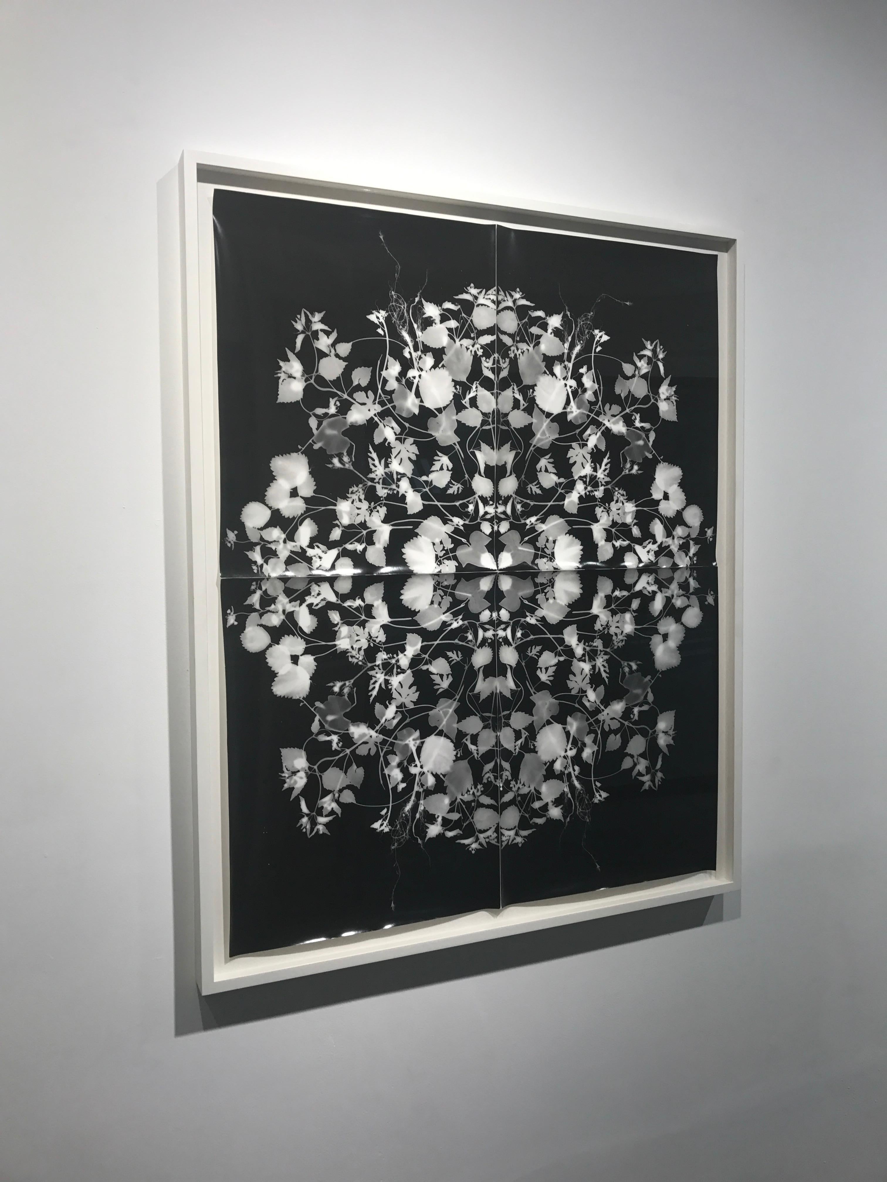Remède  (École de juin) positif (encadré) - Gris Black and White Photograph par Wendy Small