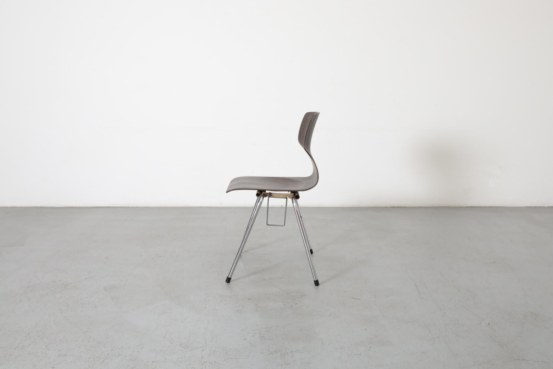 German Wenge Toned Wingback Stacking Chair by Pagholz Flötotto, 1970's