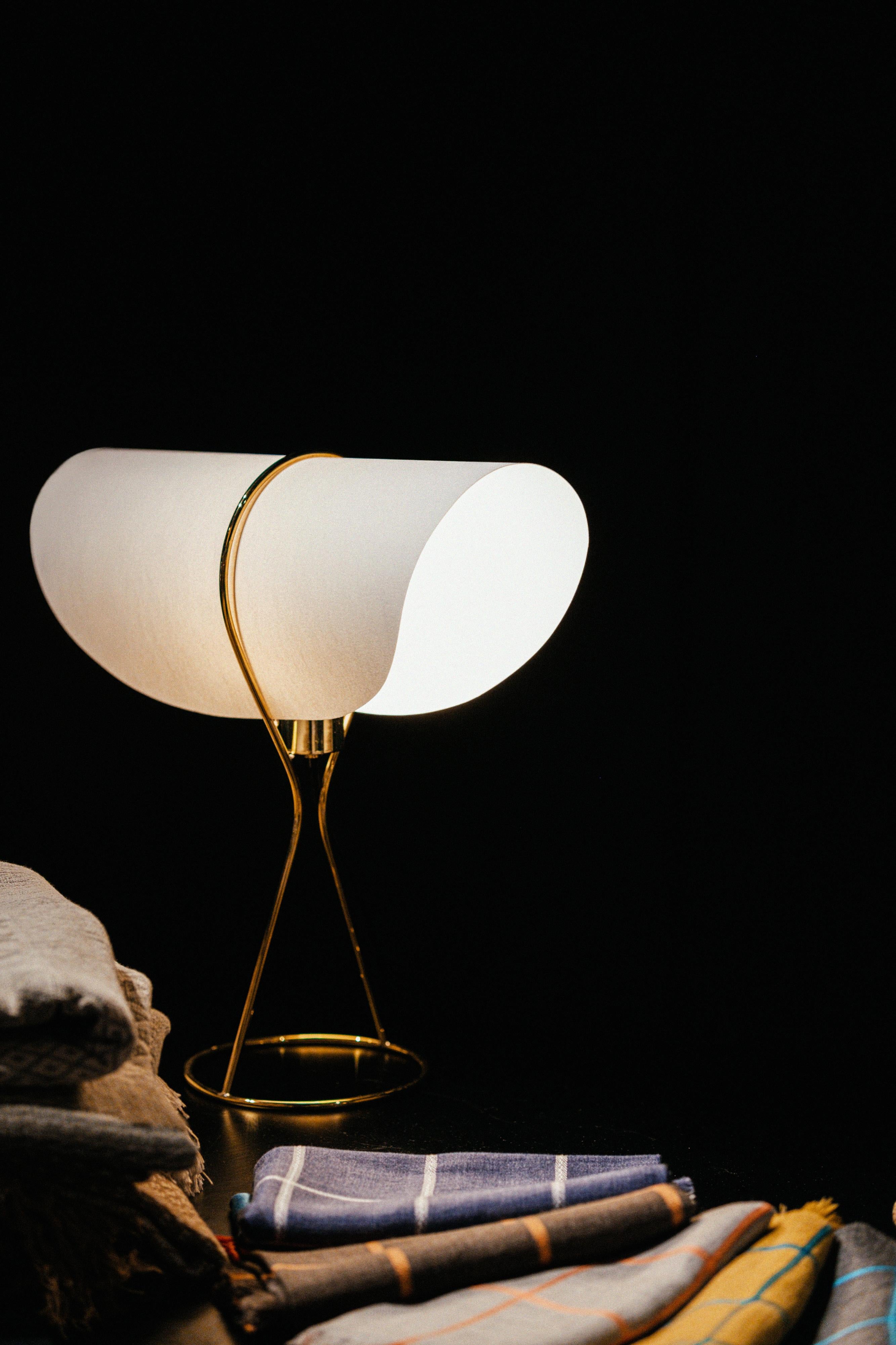carl aubock lamp