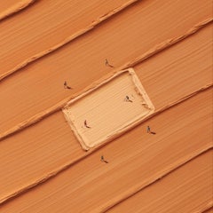 Seis de los mejores - Cricket