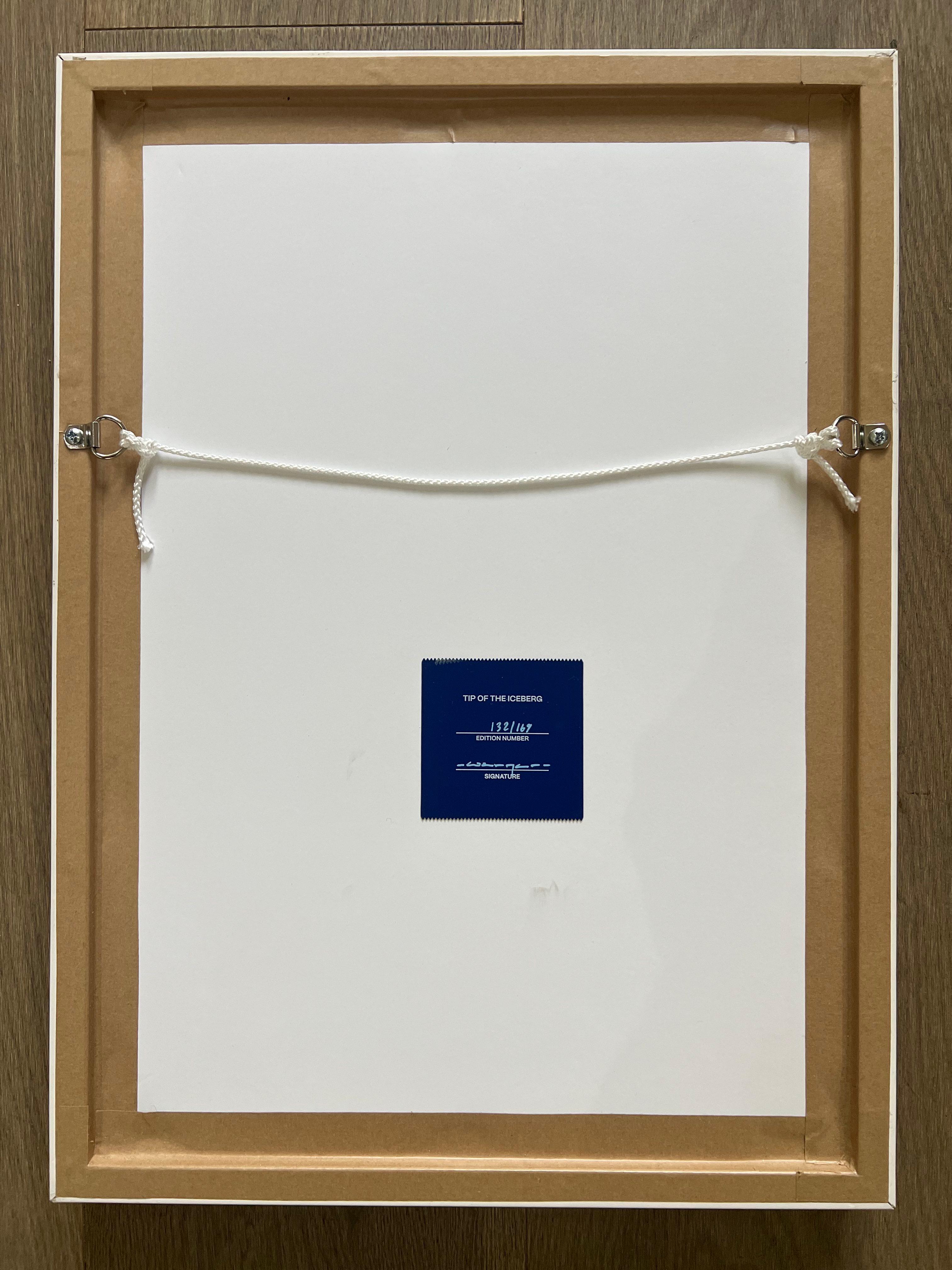 Werner Bronkhorst - Tip Of The Iceberg For Sale 2