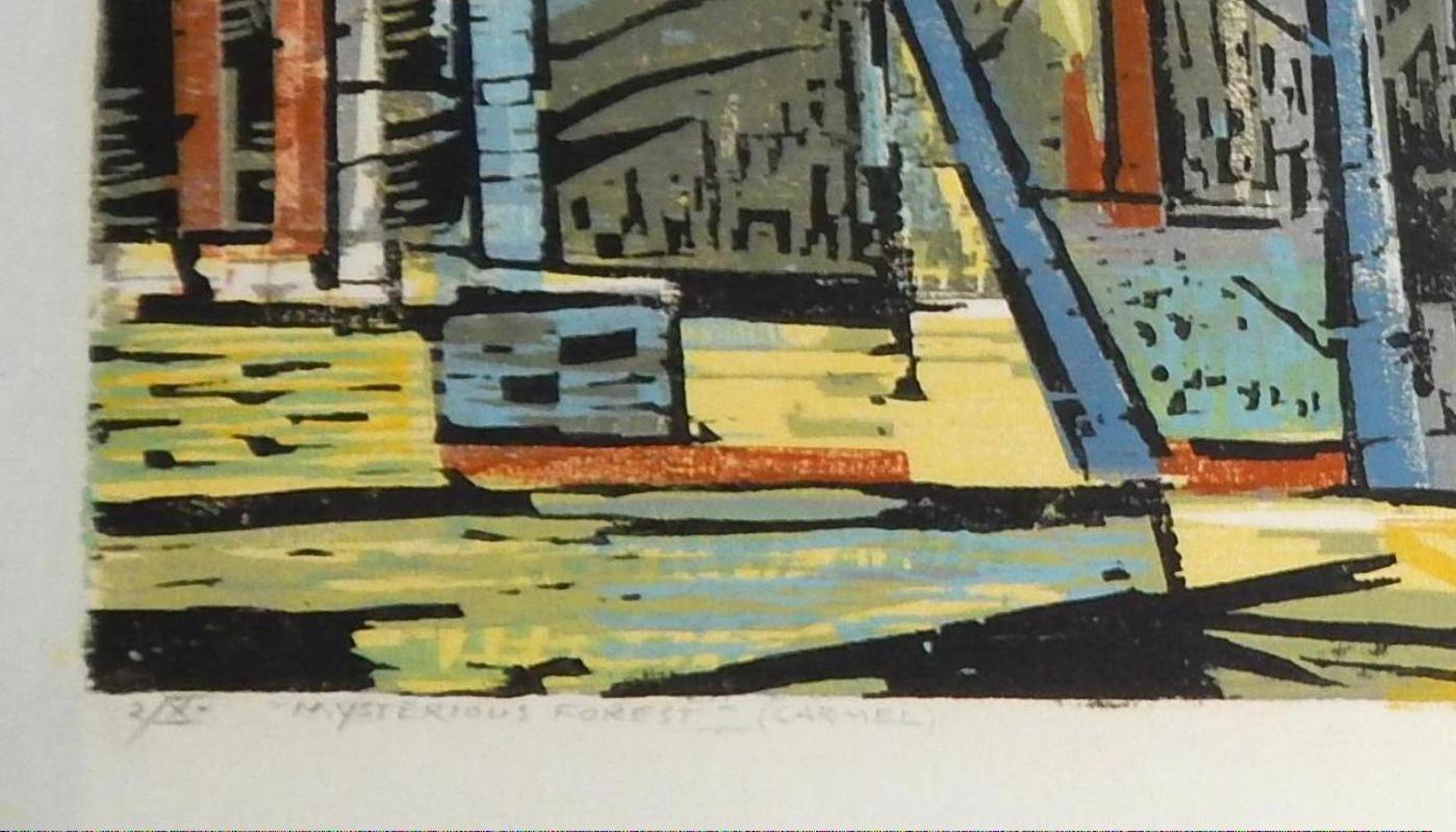 Woodblock a colori dell'artista Bauhaus Werner Drewes, 1956, Foresta misteriosa in vendita 3