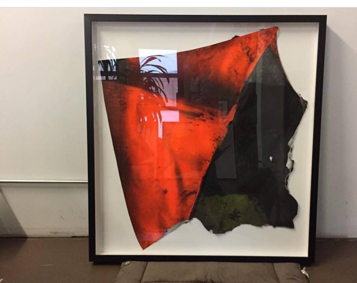 Fluorescent Afghan War Kite by renown Chicago artist 3