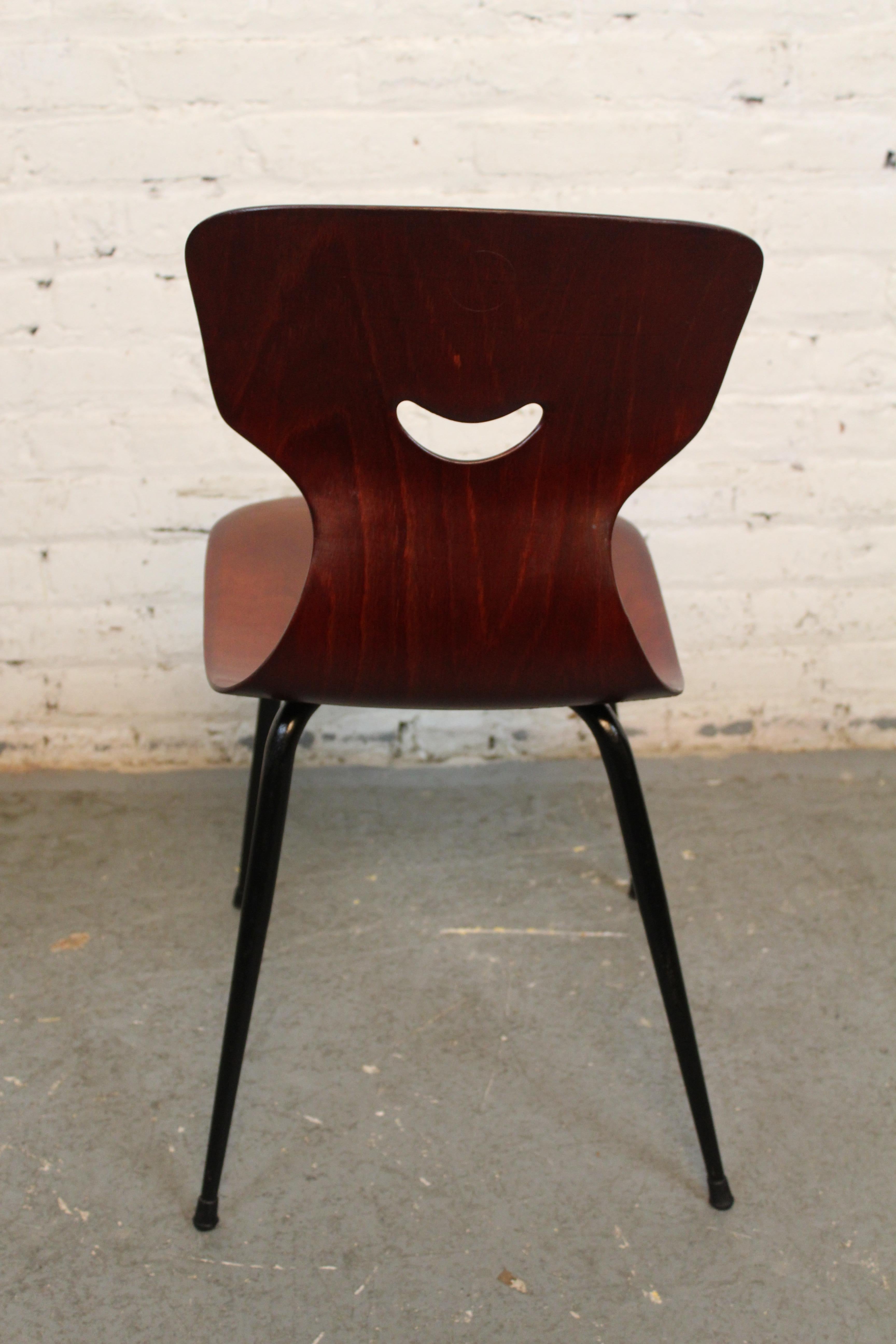 Molded West German Plywood 