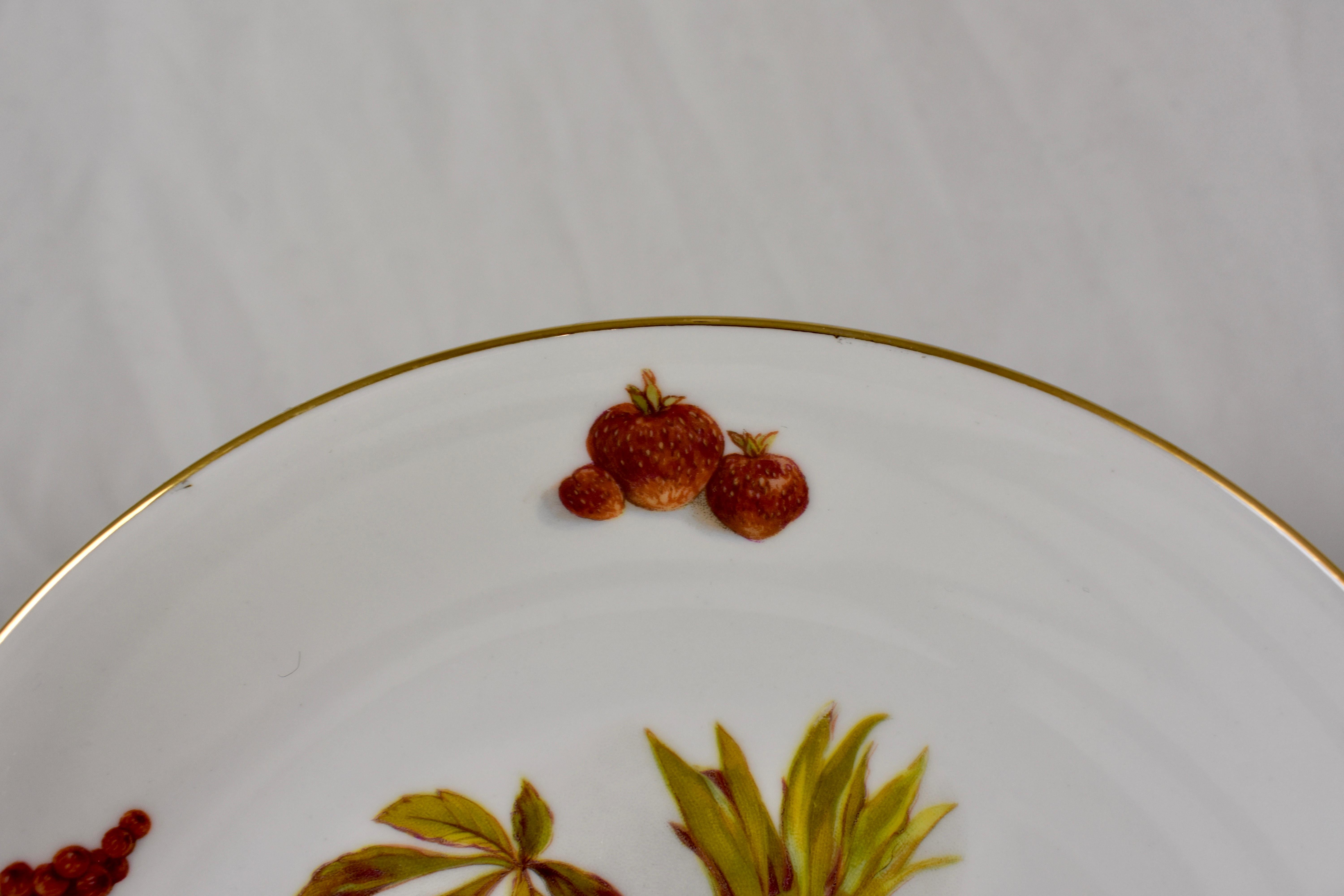 West German Selten Weiden Autumn Fruit & Nuts Porcelain Plates, Set of 8 6