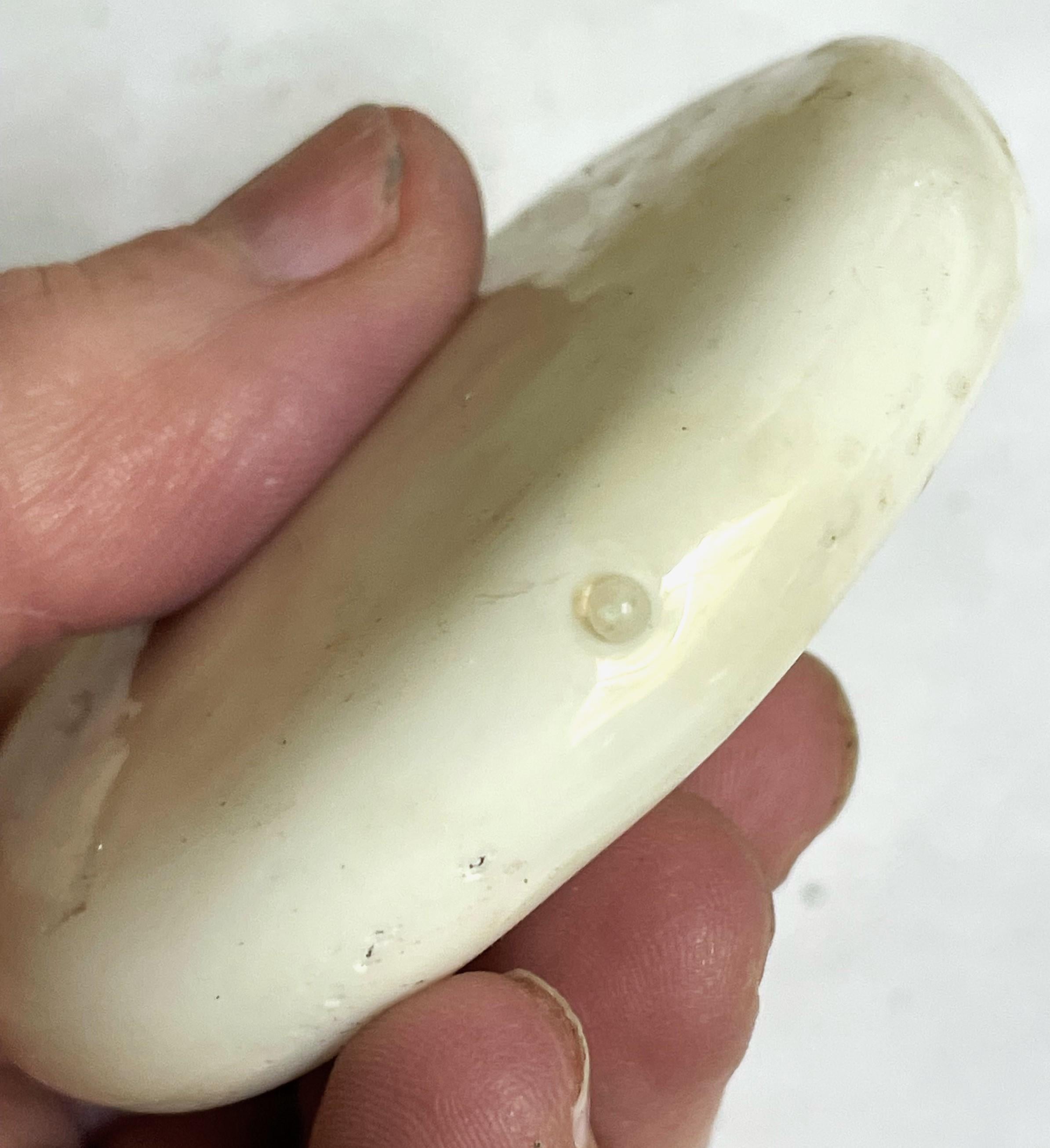 Allemand Ornement d'arbre de Noël en verre soufflé blanc à boules aplaties, Allemagne de l'Ouest en vente