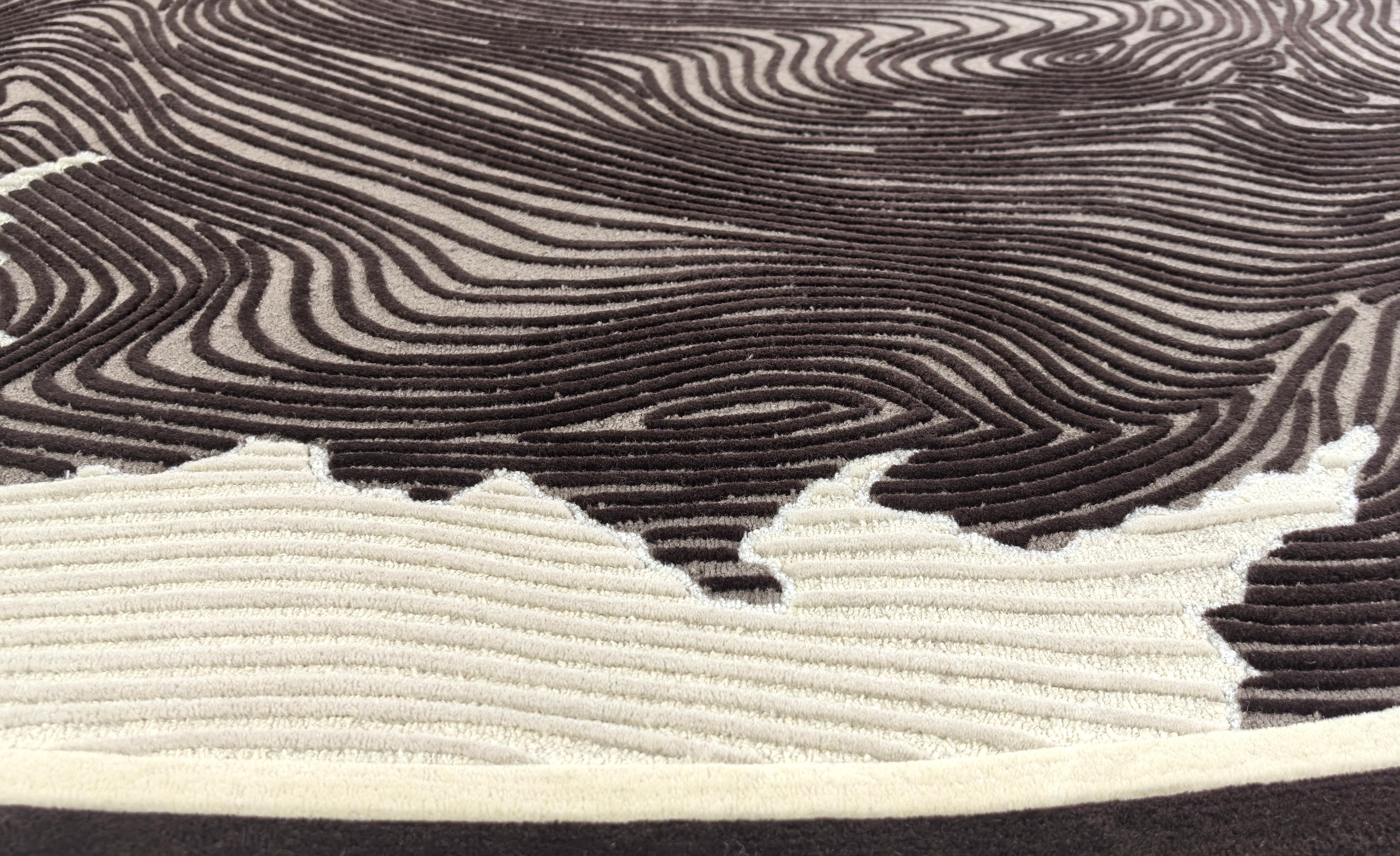 Western European Contemporary Rug New Tufted Wool Luxury Collection in Stock For Sale 5