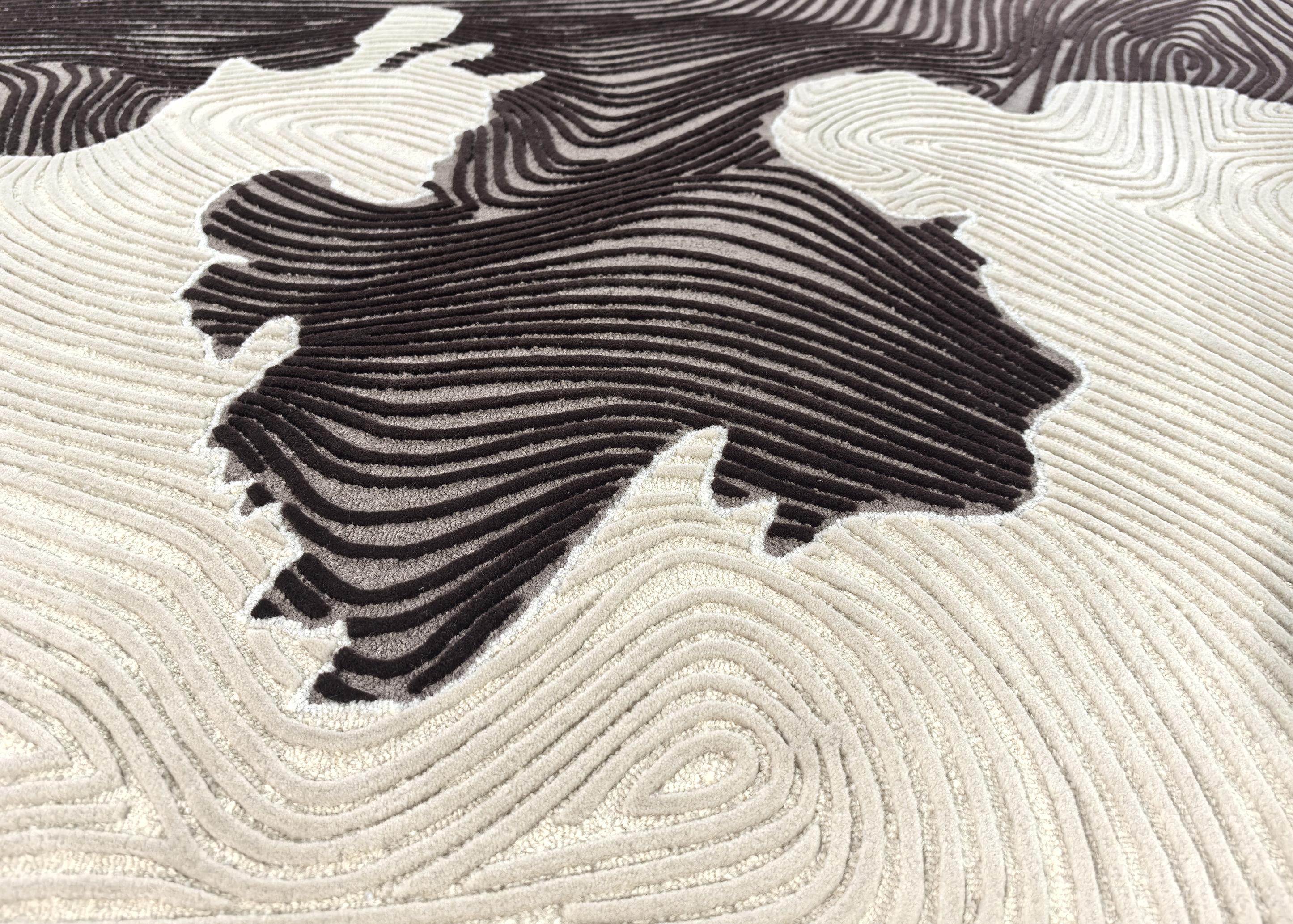 Western European Contemporary Rug New Tufted Wool Luxury Collection in Stock For Sale 1