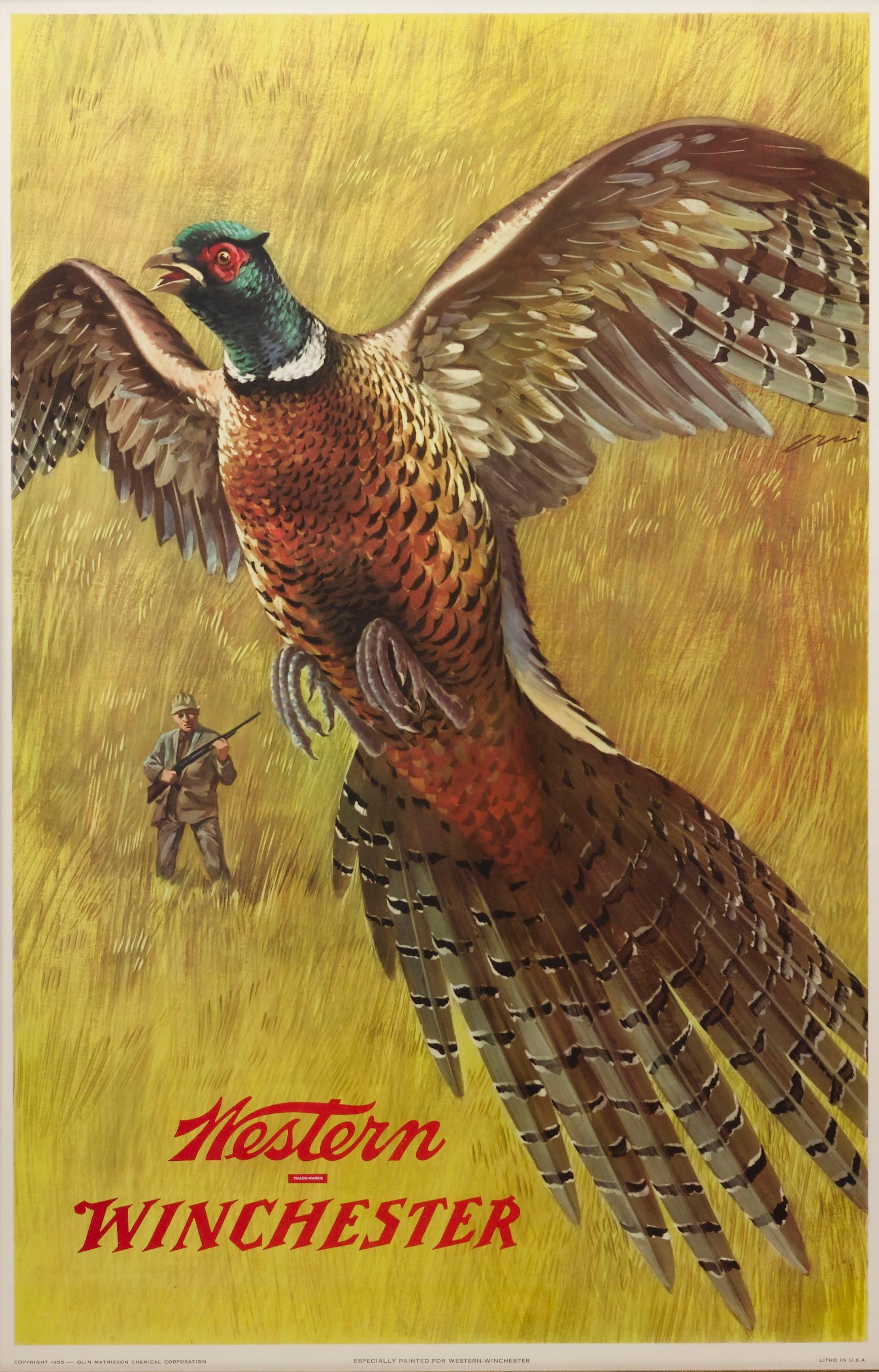 This vintage poster was made to advertise Winchester rifles by displaying game in its natural habitat, in this case a pheasant. The poster has a dramatic flying spread-wing pheasant in the foreground, with a lone hunter in the background. Both the