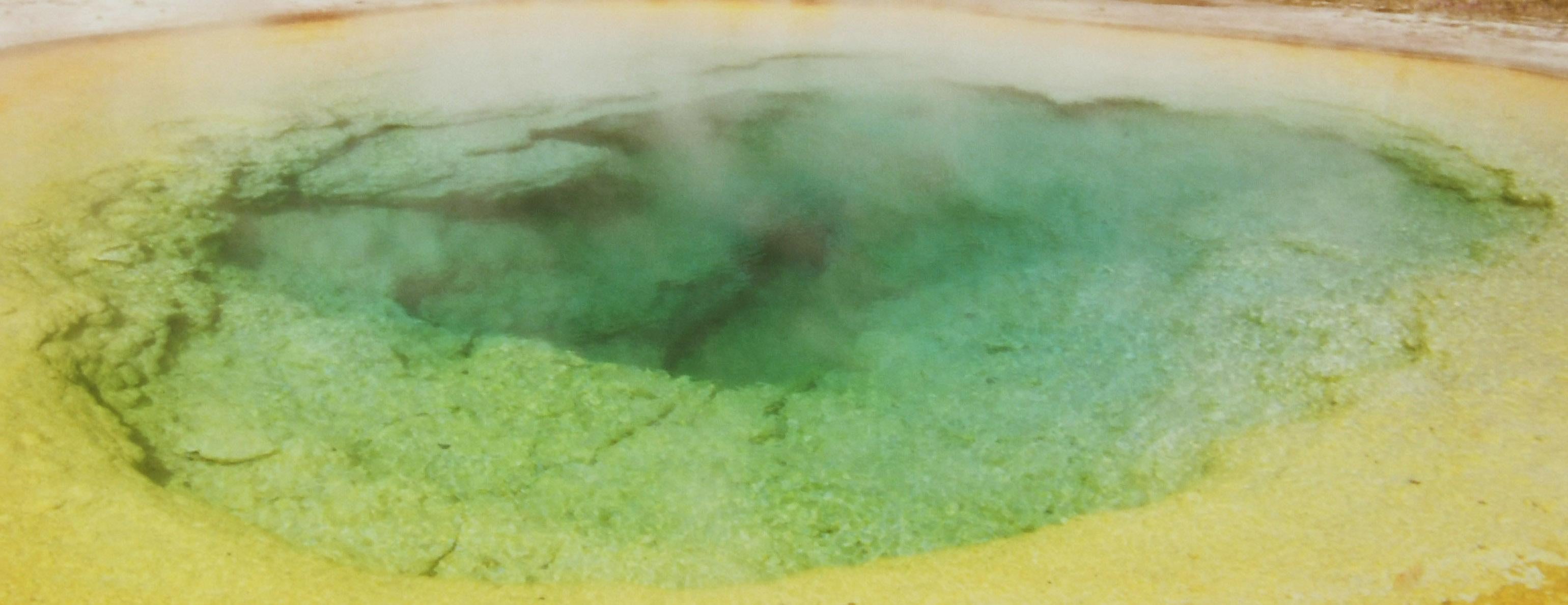 Morning Glory Pool, Yellowstone - Photograph by Westgate, Colin