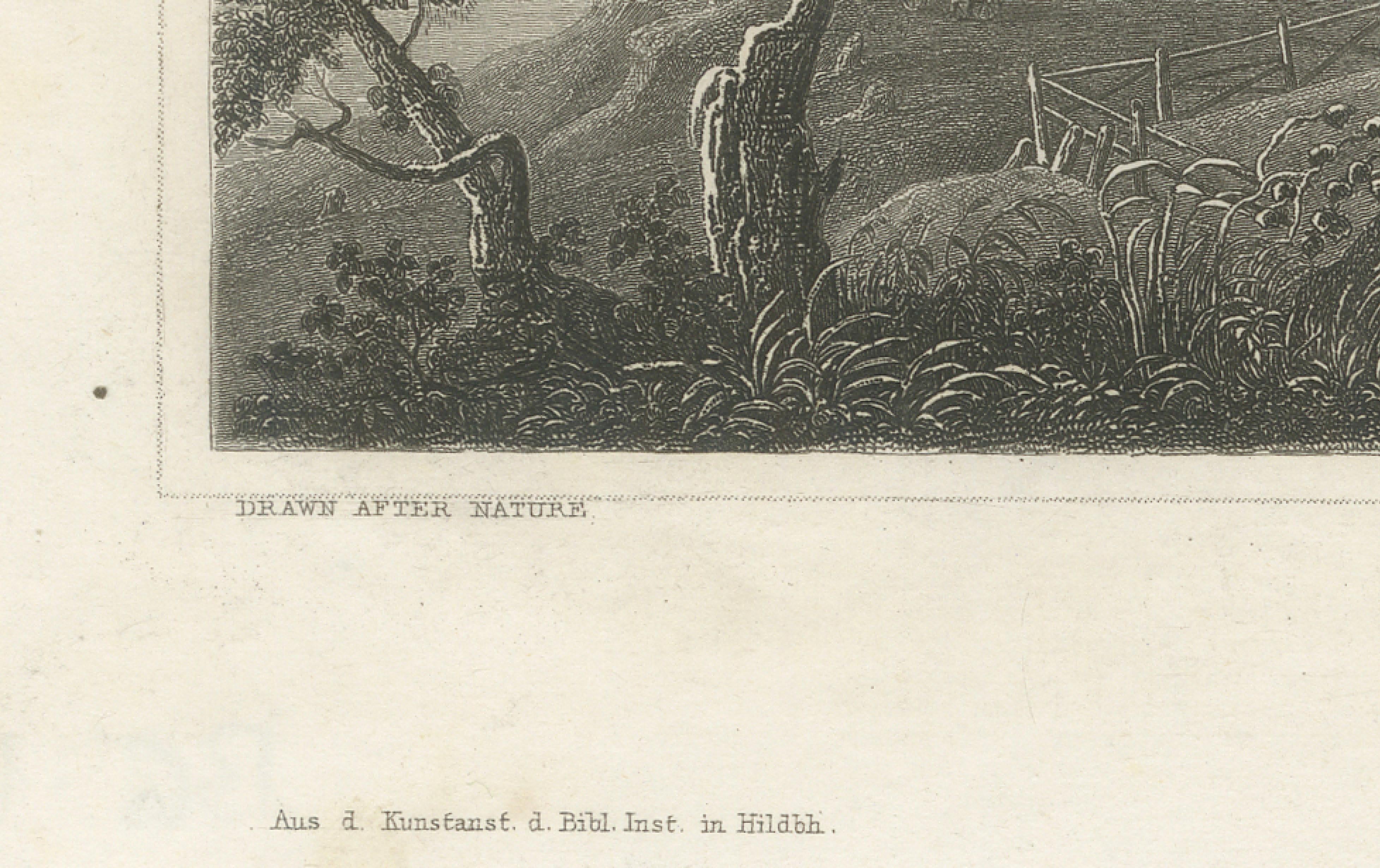 Weston Missouri River View Antique Print, Steamboat Landscape c.1850