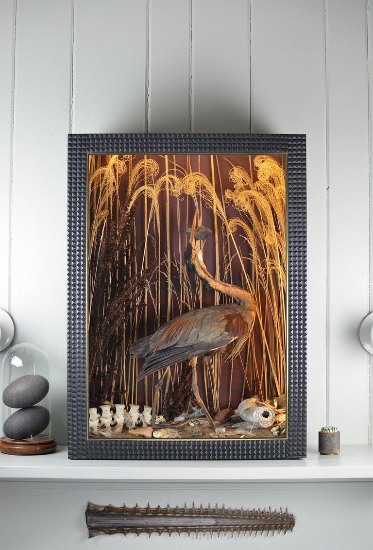 In Wetland, 2022, a majestic purple heron explores a local estuary in an illuminated update on the traditional Victorian diorama.

Original artwork by Christopher Tennant.

In stock and ready to ship.

Measurements: 
Width: 24” (60.9