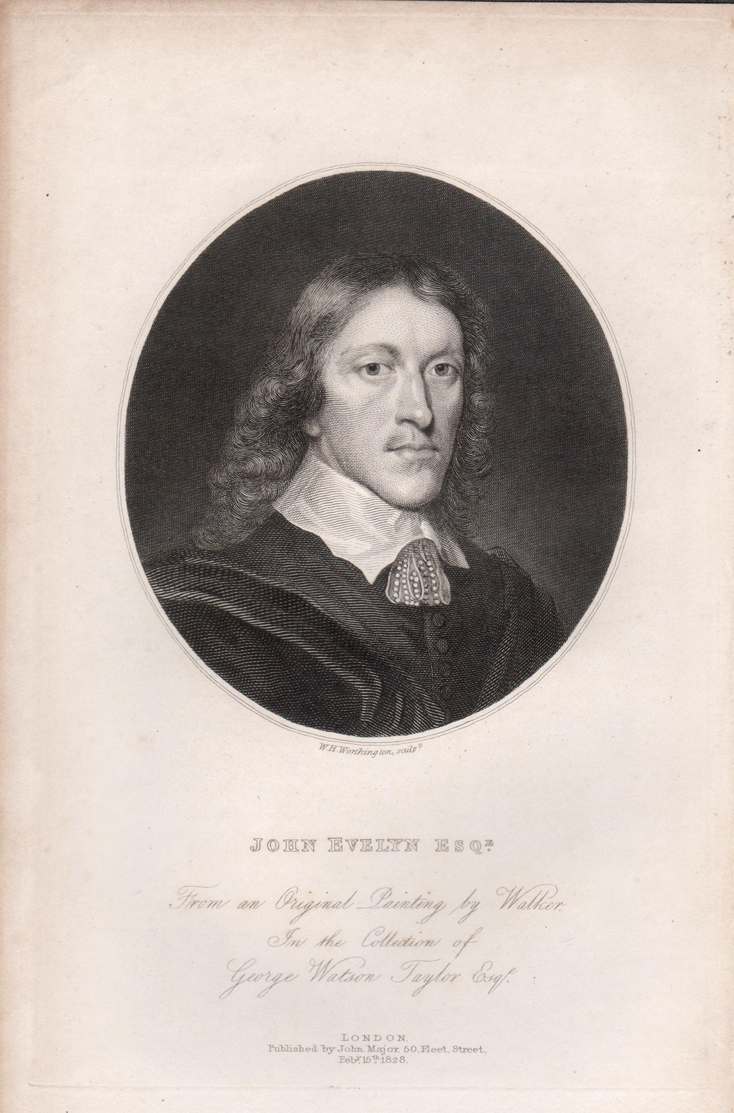 John Evelyn Esq., English diarist, early 19th century portrait engraving print