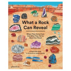 Cosa può rivelare una roccia