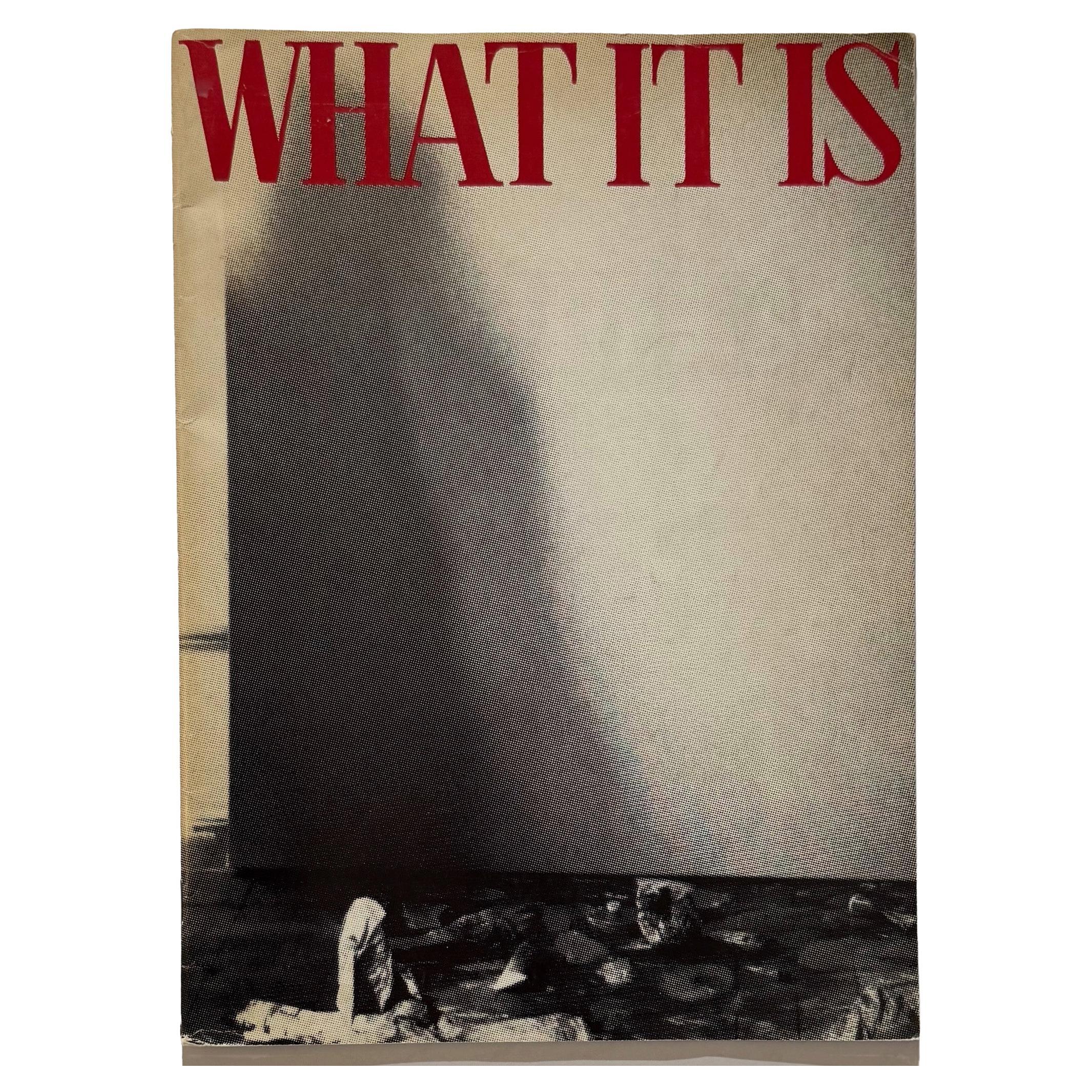 What It Is (Tony Shafrazi Gallery) For Sale