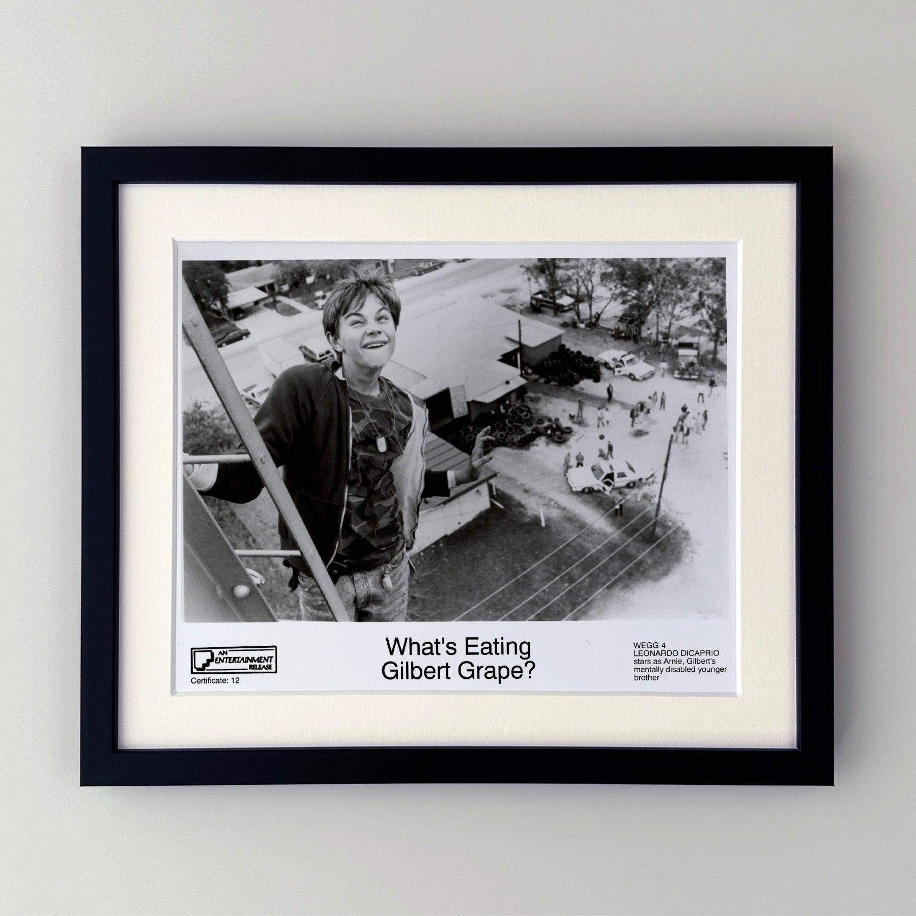 Photo publicitaire originale de 8x10 inches pour What's Eating Gilbert Grape (1993) avec Johnny Depp, Leonardo DiCaprio et Juliette Lewis.

Les photos de publicité (film/production) ont été créées pour aider les studios à promouvoir leurs nouveaux