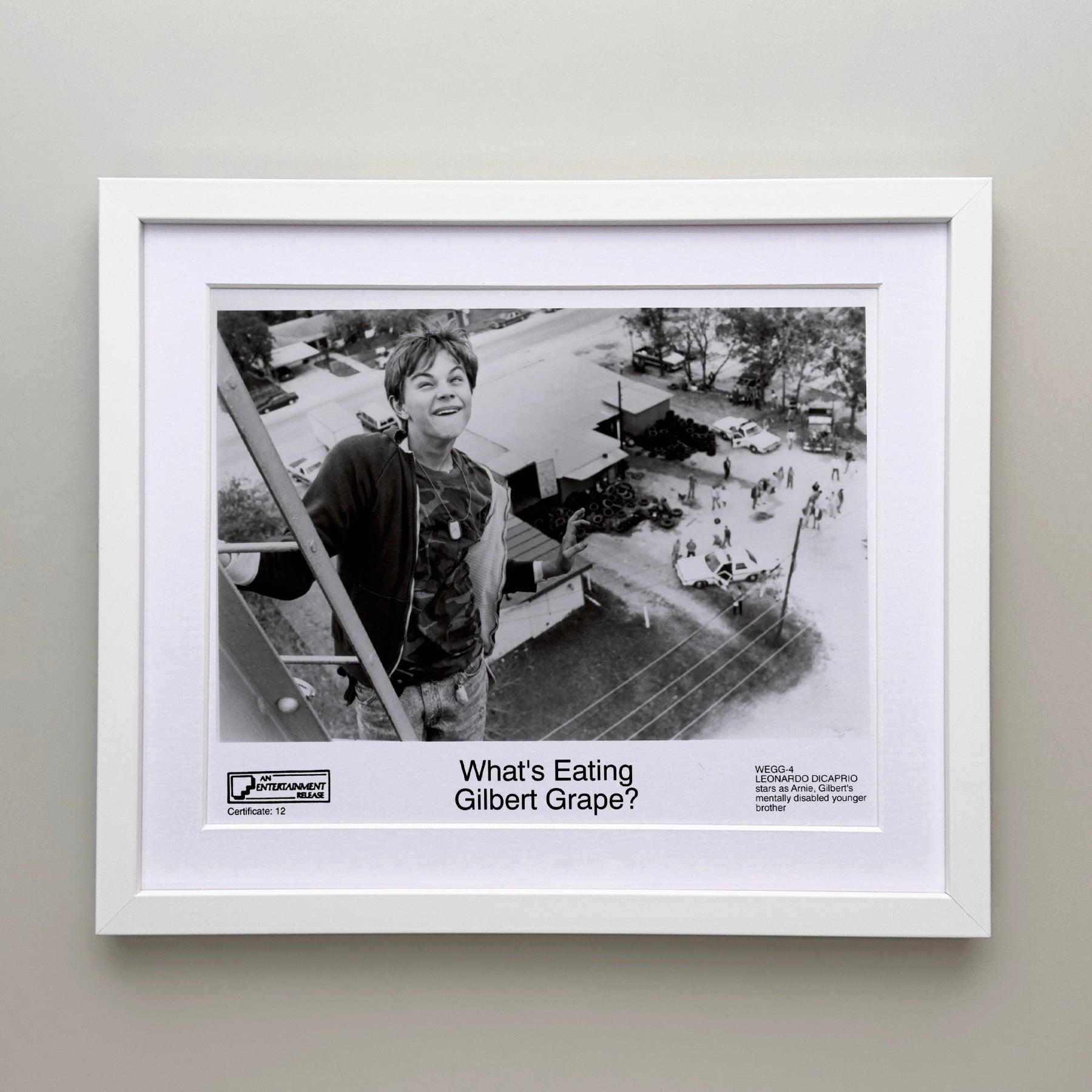 Américain What's Eating Gilbert Grape 1993 Publicity Film Movie Press Still Framed en vente