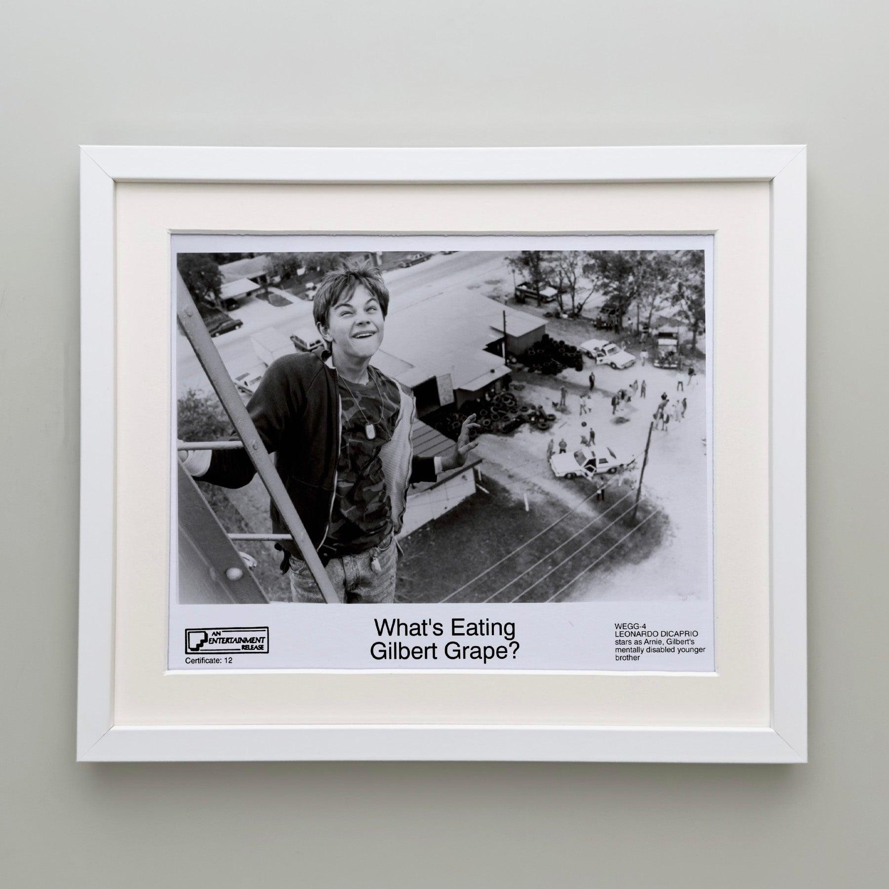 What's Eating Gilbert Grape 1993 Publicity Film Movie Press Still Framed Excellent état - En vente à Bath, Somerset